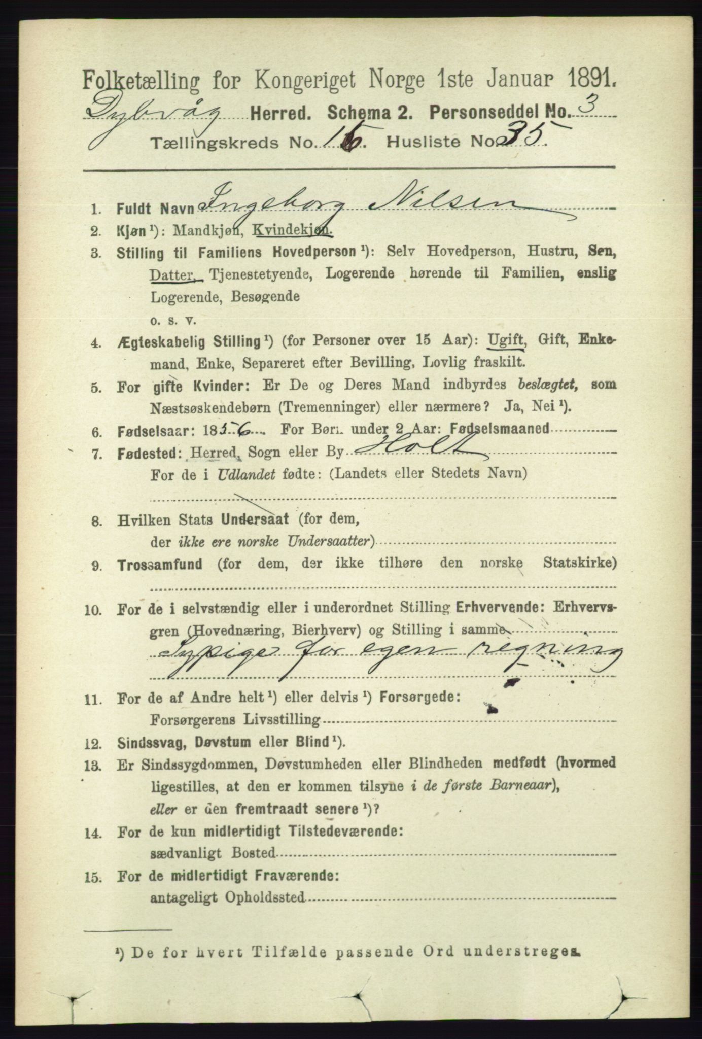 RA, 1891 census for 0915 Dypvåg, 1891, p. 6618