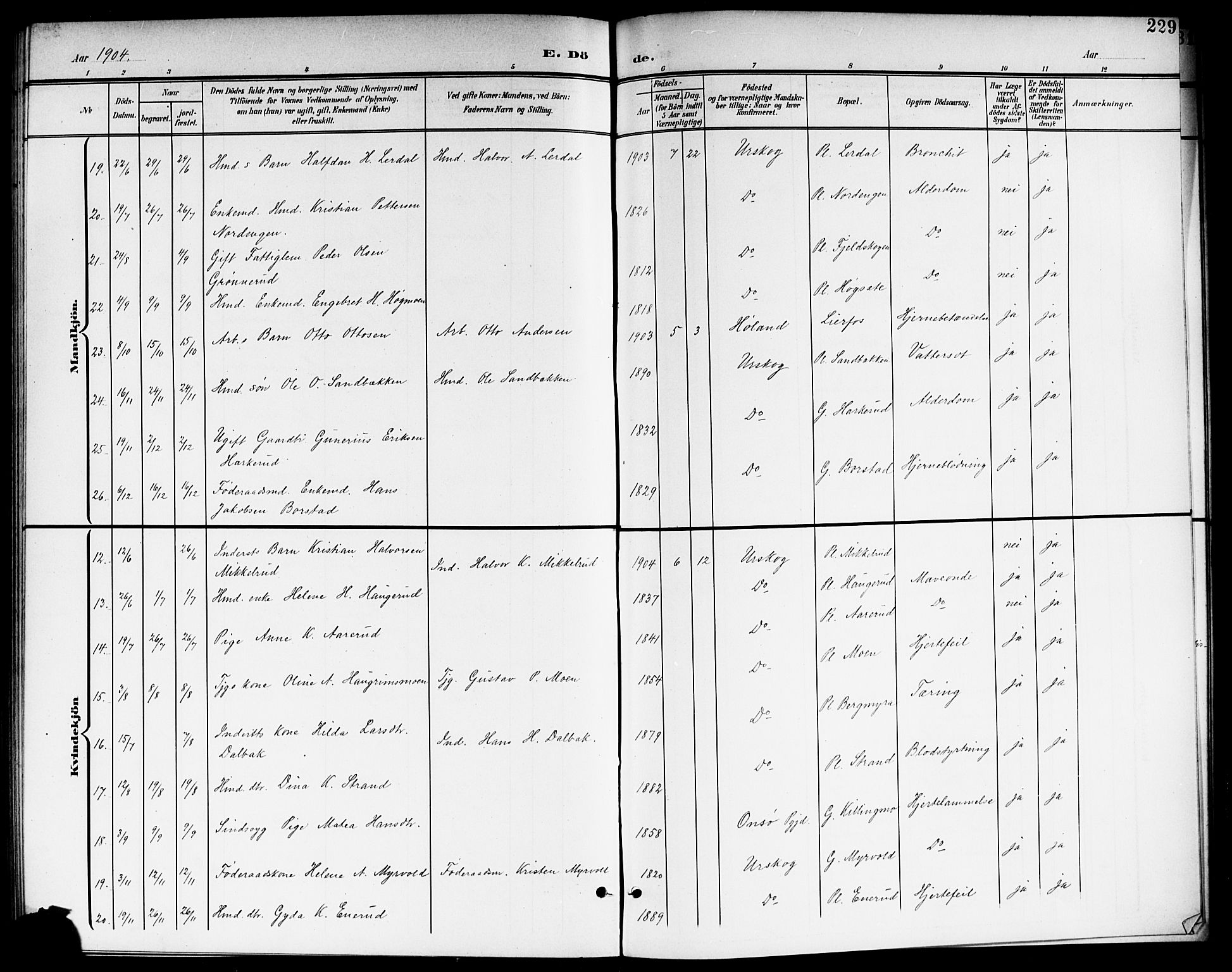 Aurskog prestekontor Kirkebøker, AV/SAO-A-10304a/G/Ga/L0004: Parish register (copy) no. I 4, 1901-1921, p. 229