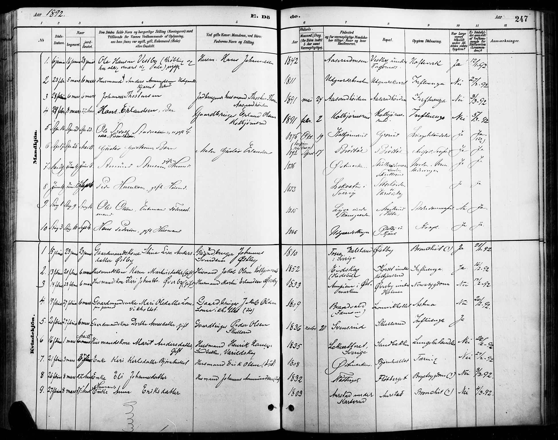 Vinger prestekontor, AV/SAH-PREST-024/H/Ha/Haa/L0015: Parish register (official) no. 15, 1881-1900, p. 247