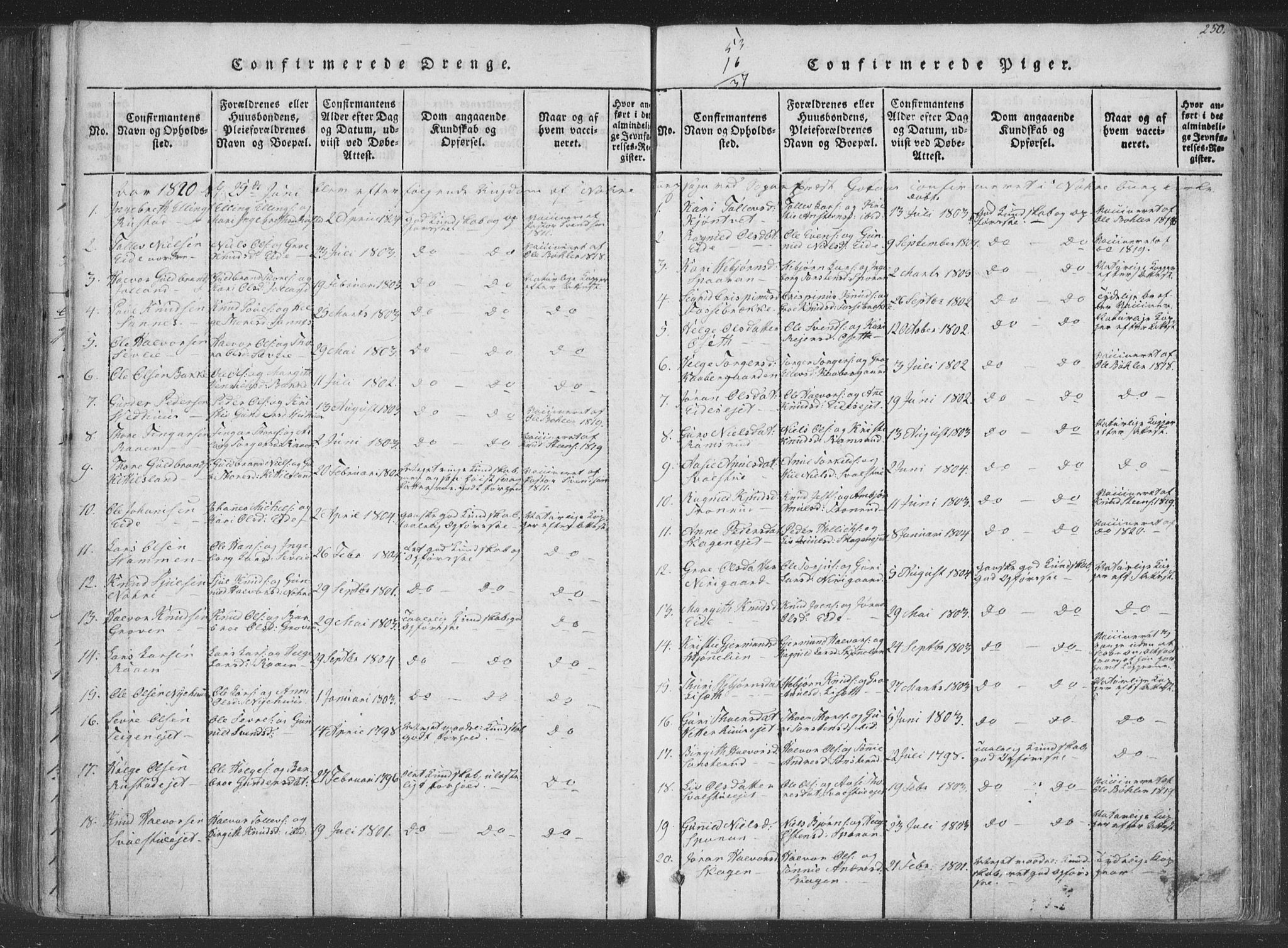 Rollag kirkebøker, AV/SAKO-A-240/F/Fa/L0006: Parish register (official) no. I 6, 1814-1828, p. 250
