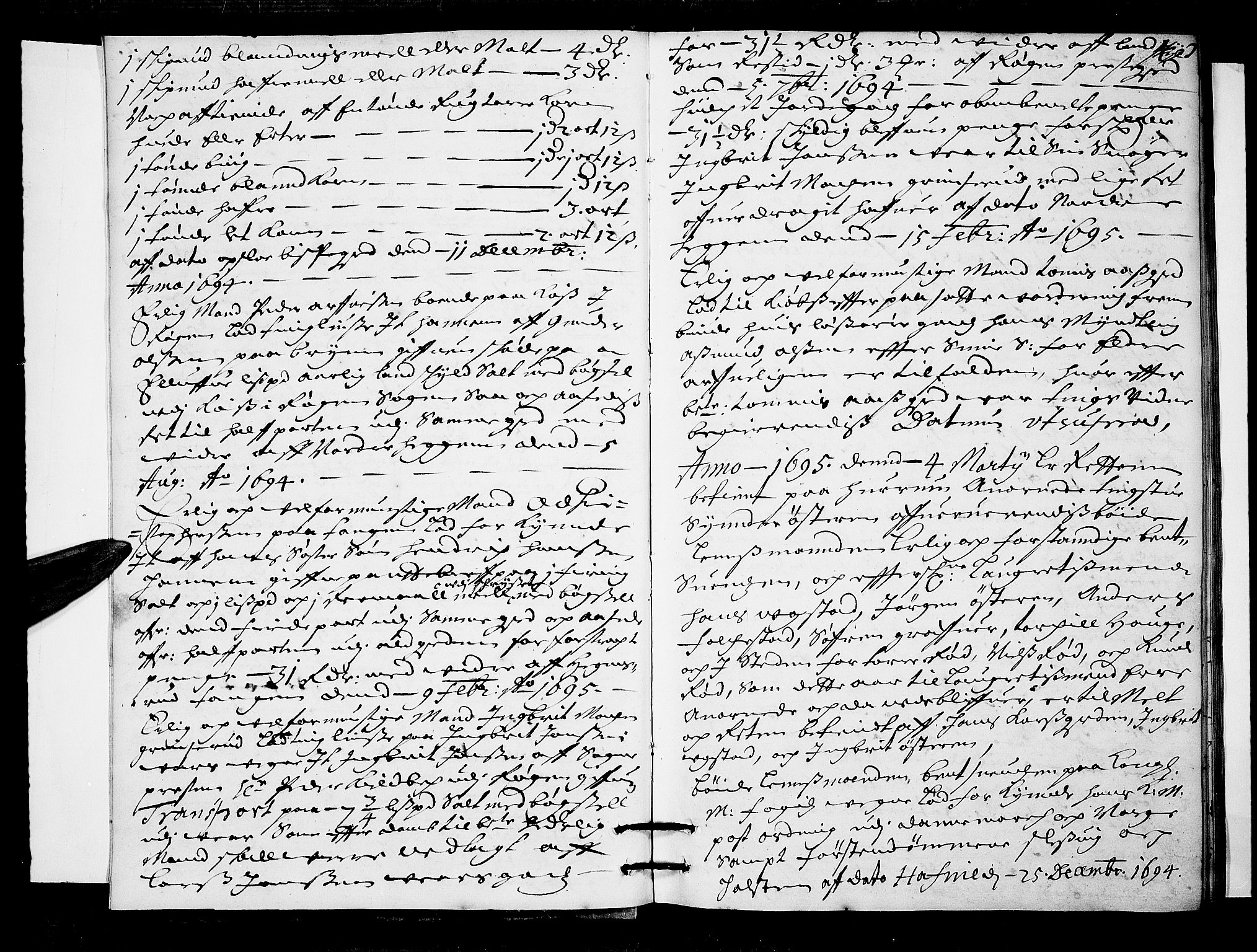 Lier, Røyken og Hurum sorenskriveri, AV/SAKO-A-89/F/Fa/L0036: Tingbok, 1695-1696, p. 4