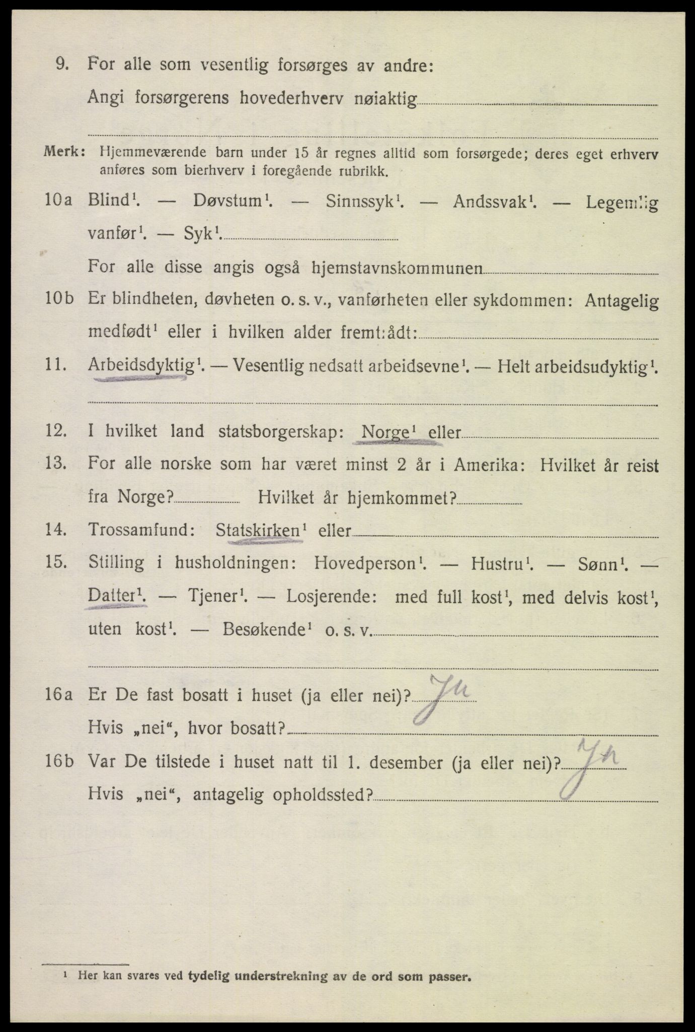 SAH, 1920 census for Dovre, 1920, p. 1633