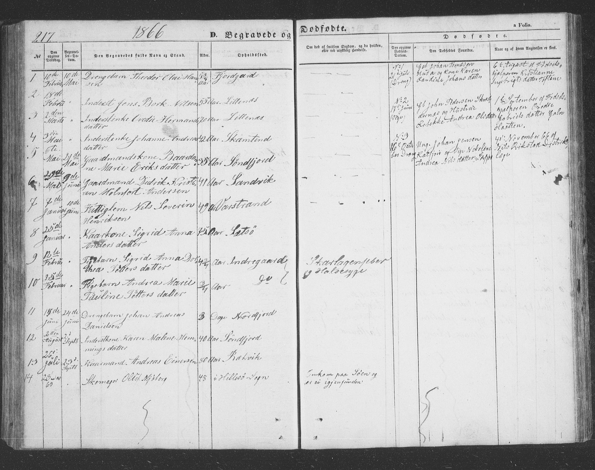 Lenvik sokneprestembete, SATØ/S-1310/H/Ha/Hab/L0020klokker: Parish register (copy) no. 20, 1855-1883, p. 217