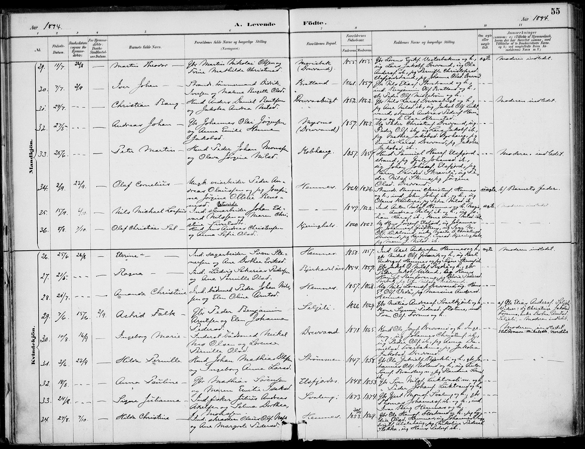 Ministerialprotokoller, klokkerbøker og fødselsregistre - Nordland, AV/SAT-A-1459/825/L0362: Parish register (official) no. 825A16, 1886-1908, p. 55