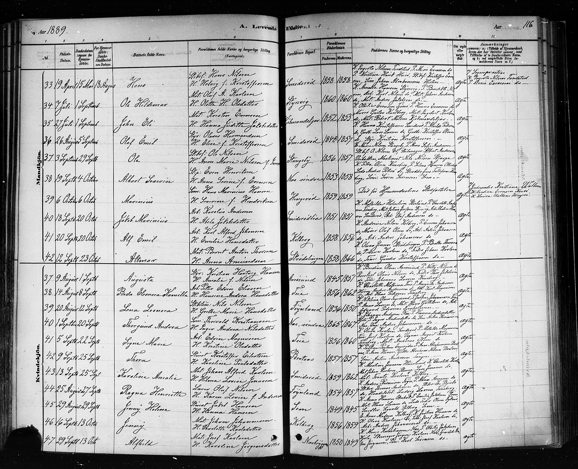 Nøtterøy kirkebøker, AV/SAKO-A-354/F/Fa/L0008: Parish register (official) no. I 8, 1878-1893, p. 116