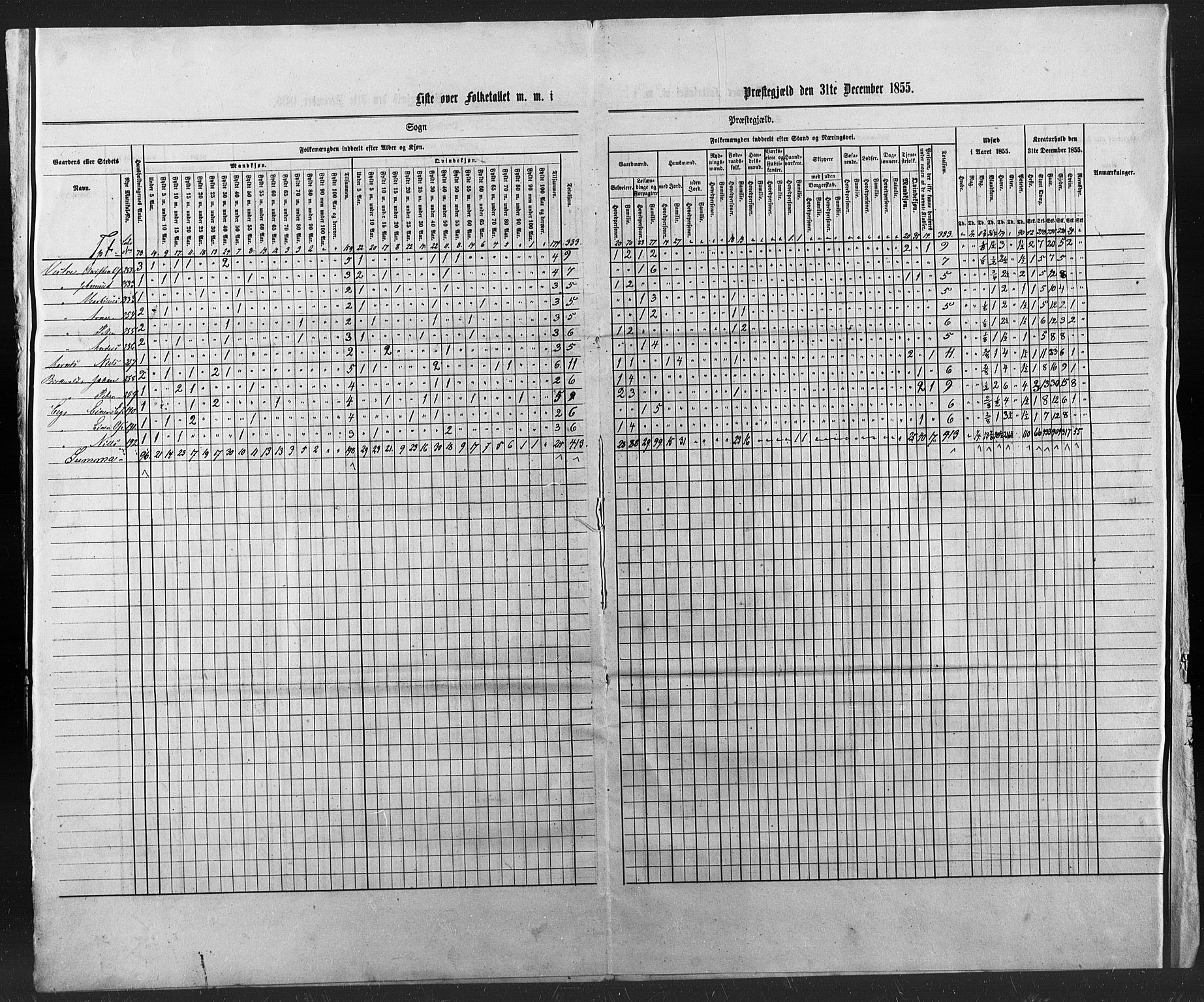 SAT, Census 1855 for Borgund, 1855, p. 3