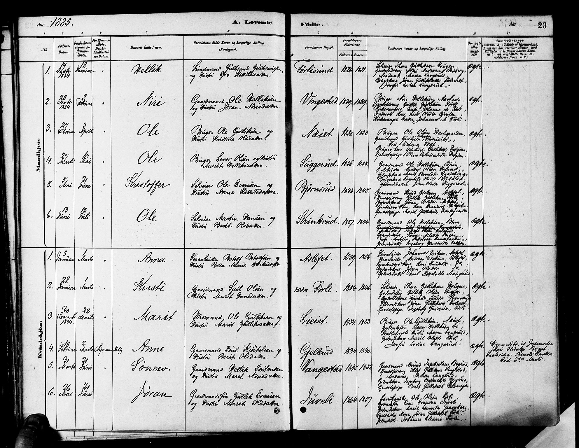 Flesberg kirkebøker, SAKO/A-18/F/Fa/L0008: Parish register (official) no. I 8, 1879-1899, p. 23