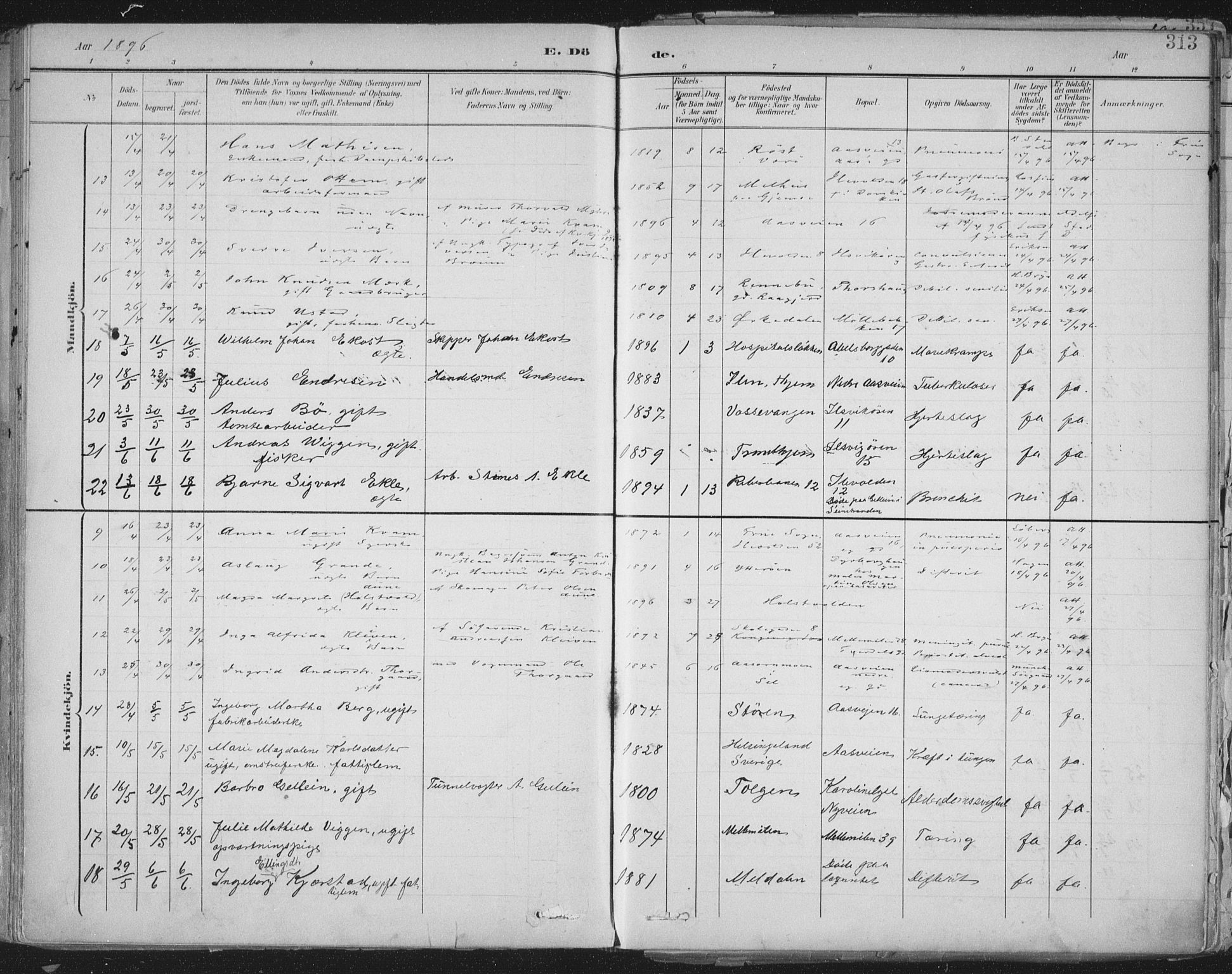 Ministerialprotokoller, klokkerbøker og fødselsregistre - Sør-Trøndelag, AV/SAT-A-1456/603/L0167: Parish register (official) no. 603A06, 1896-1932, p. 313