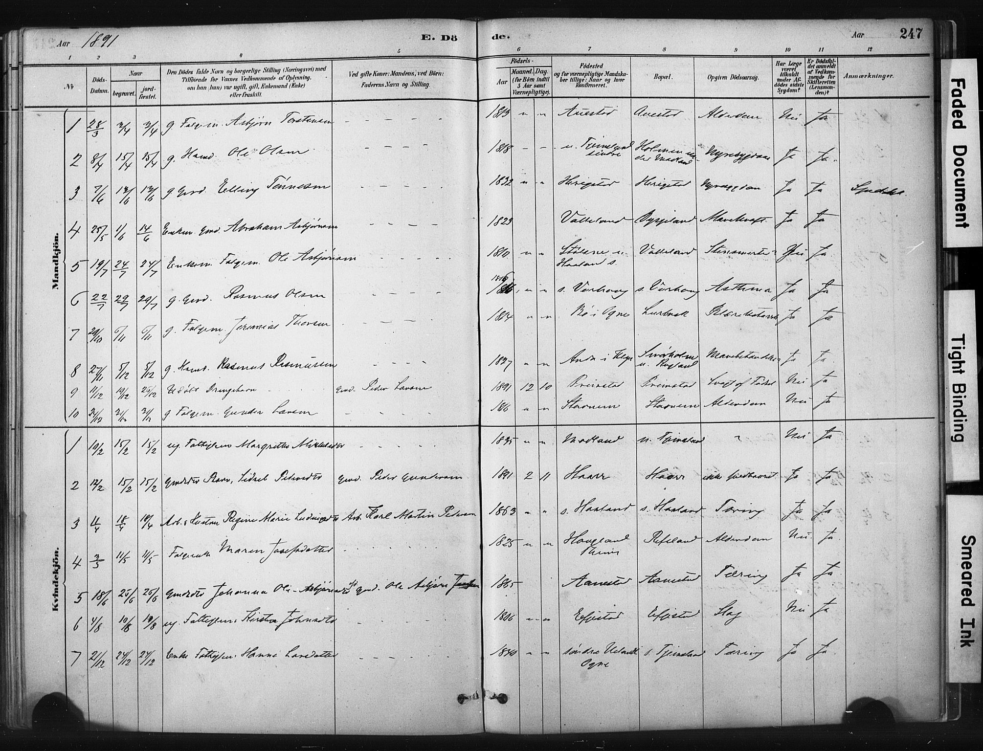 Hå sokneprestkontor, AV/SAST-A-101801/001/30BA/L0011: Parish register (official) no. A 10, 1879-1900, p. 247