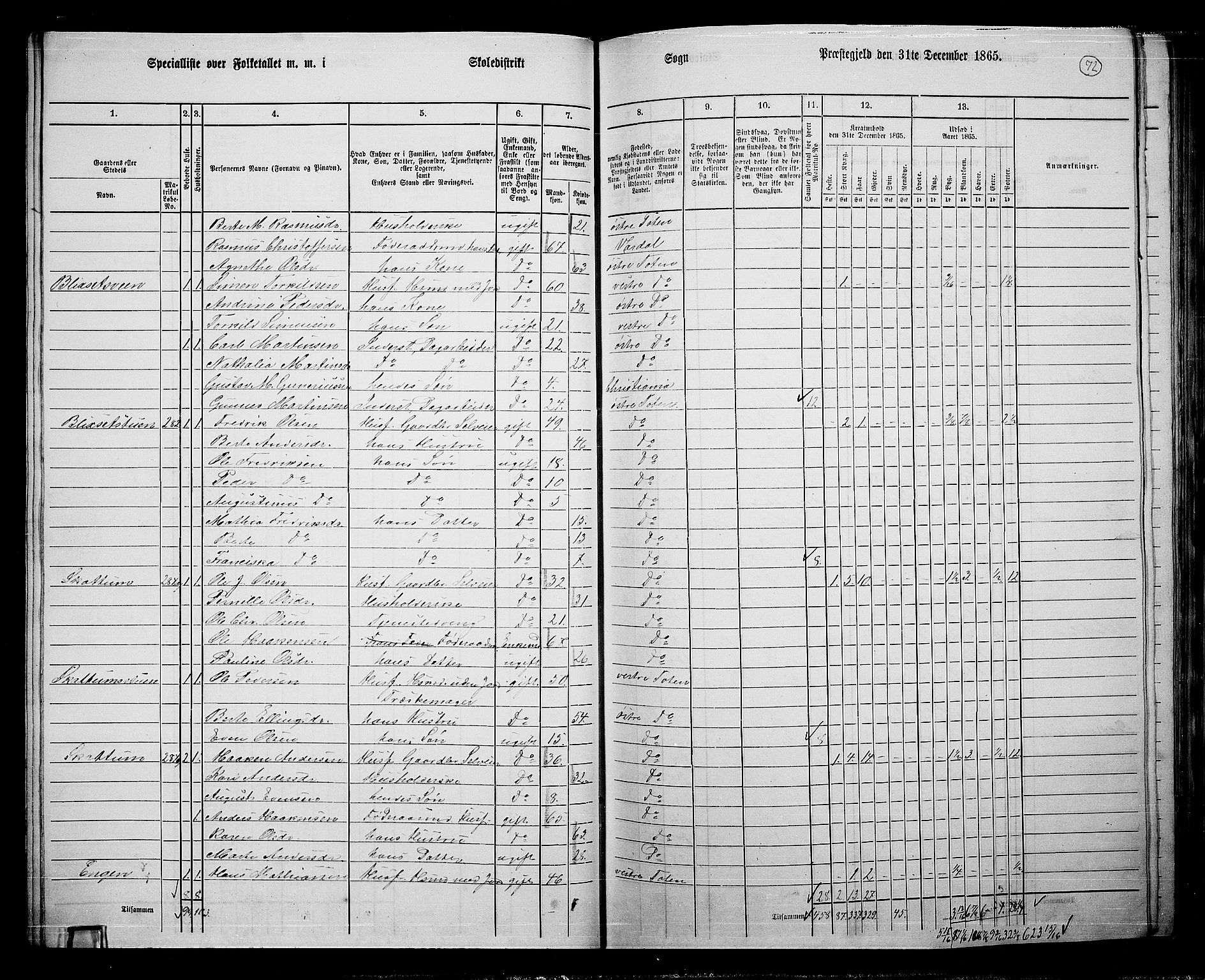 RA, 1865 census for Østre Toten, 1865, p. 197