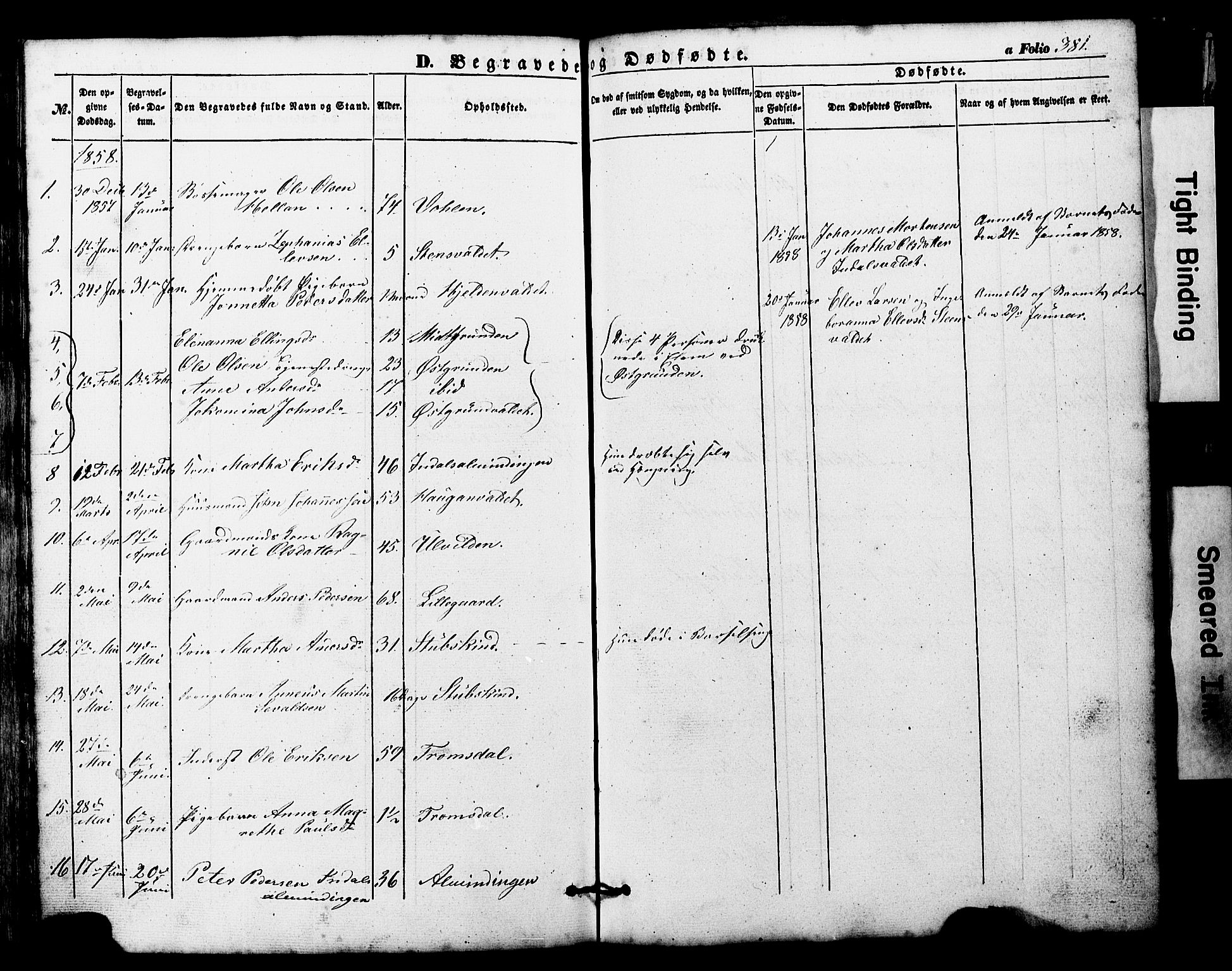 Ministerialprotokoller, klokkerbøker og fødselsregistre - Nord-Trøndelag, SAT/A-1458/724/L0268: Parish register (copy) no. 724C04, 1846-1878, p. 381