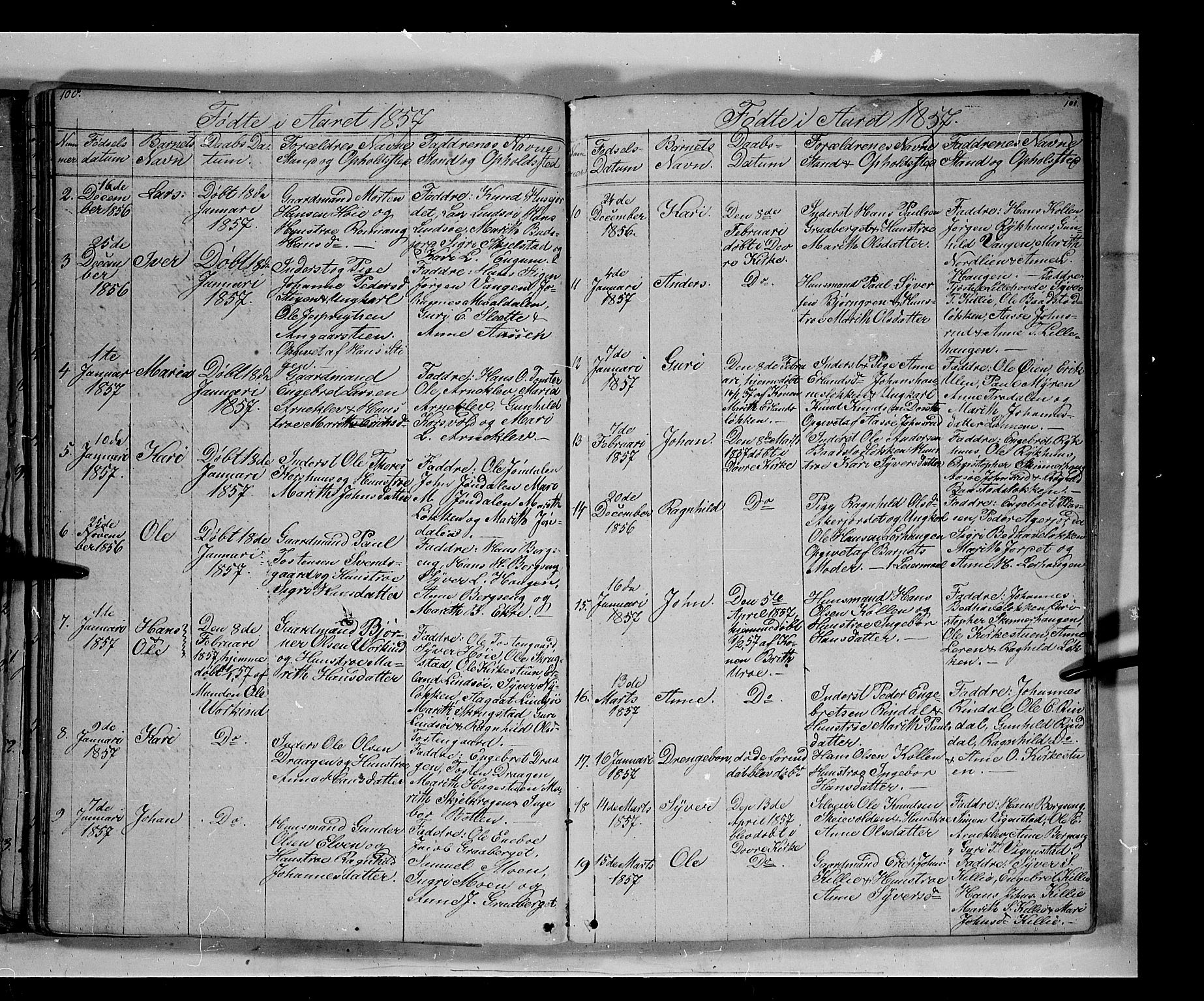 Lesja prestekontor, SAH/PREST-068/H/Ha/Hab/L0003: Parish register (copy) no. 3, 1842-1862, p. 100-101