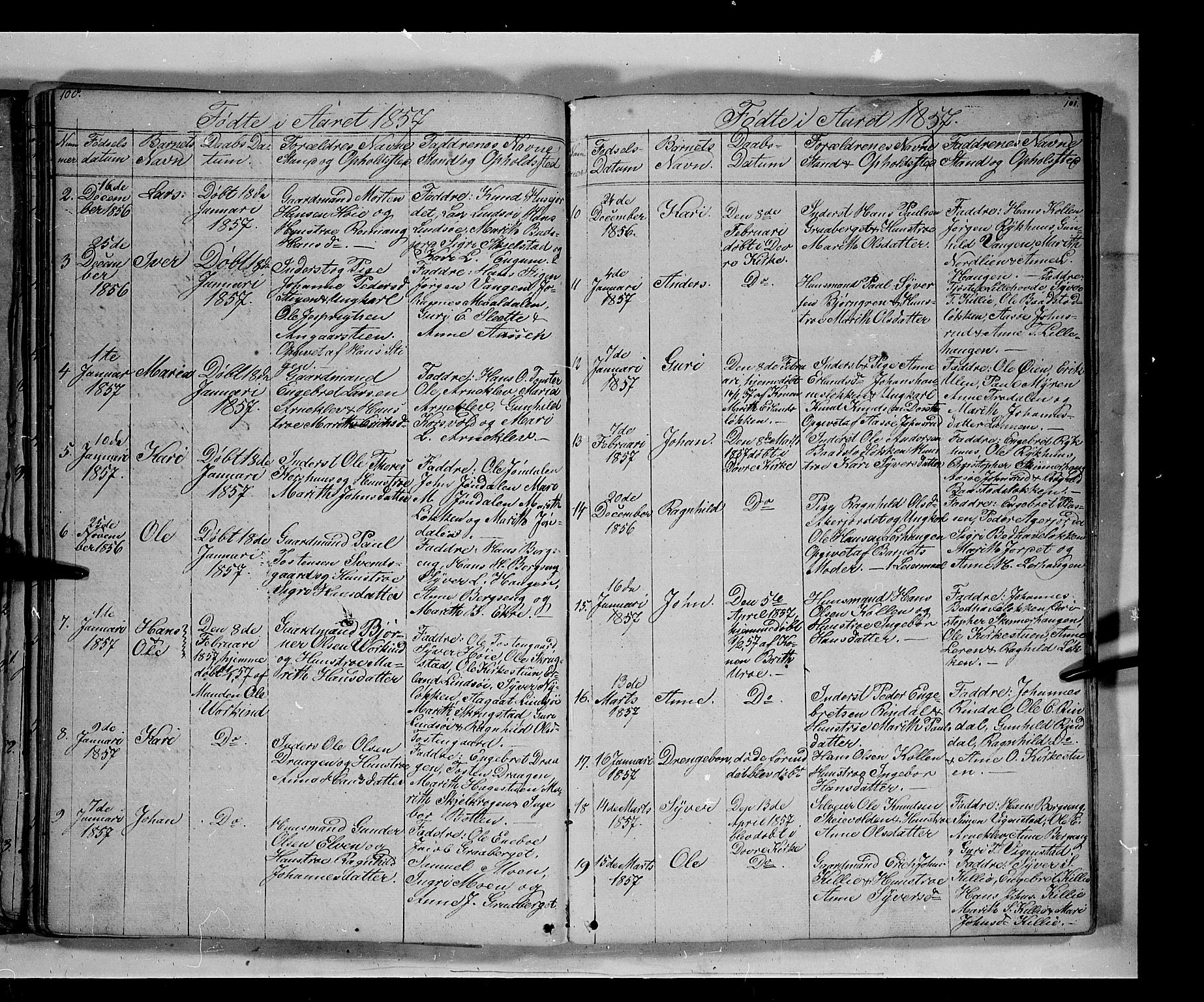 Lesja prestekontor, AV/SAH-PREST-068/H/Ha/Hab/L0003: Parish register (copy) no. 3, 1842-1862, p. 100-101