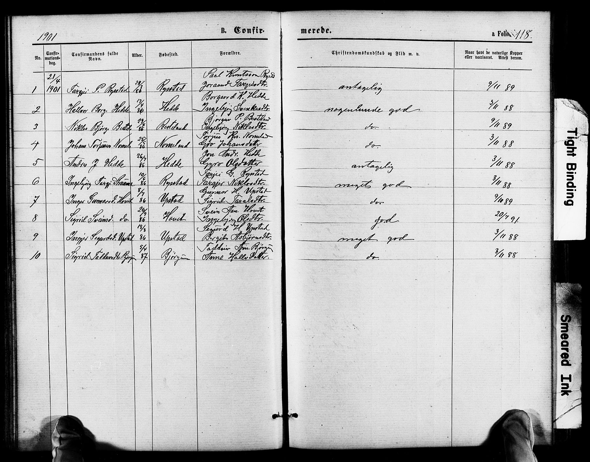 Valle sokneprestkontor, AV/SAK-1111-0044/F/Fb/Fbb/L0002: Parish register (copy) no. B 2, 1875-1921, p. 118