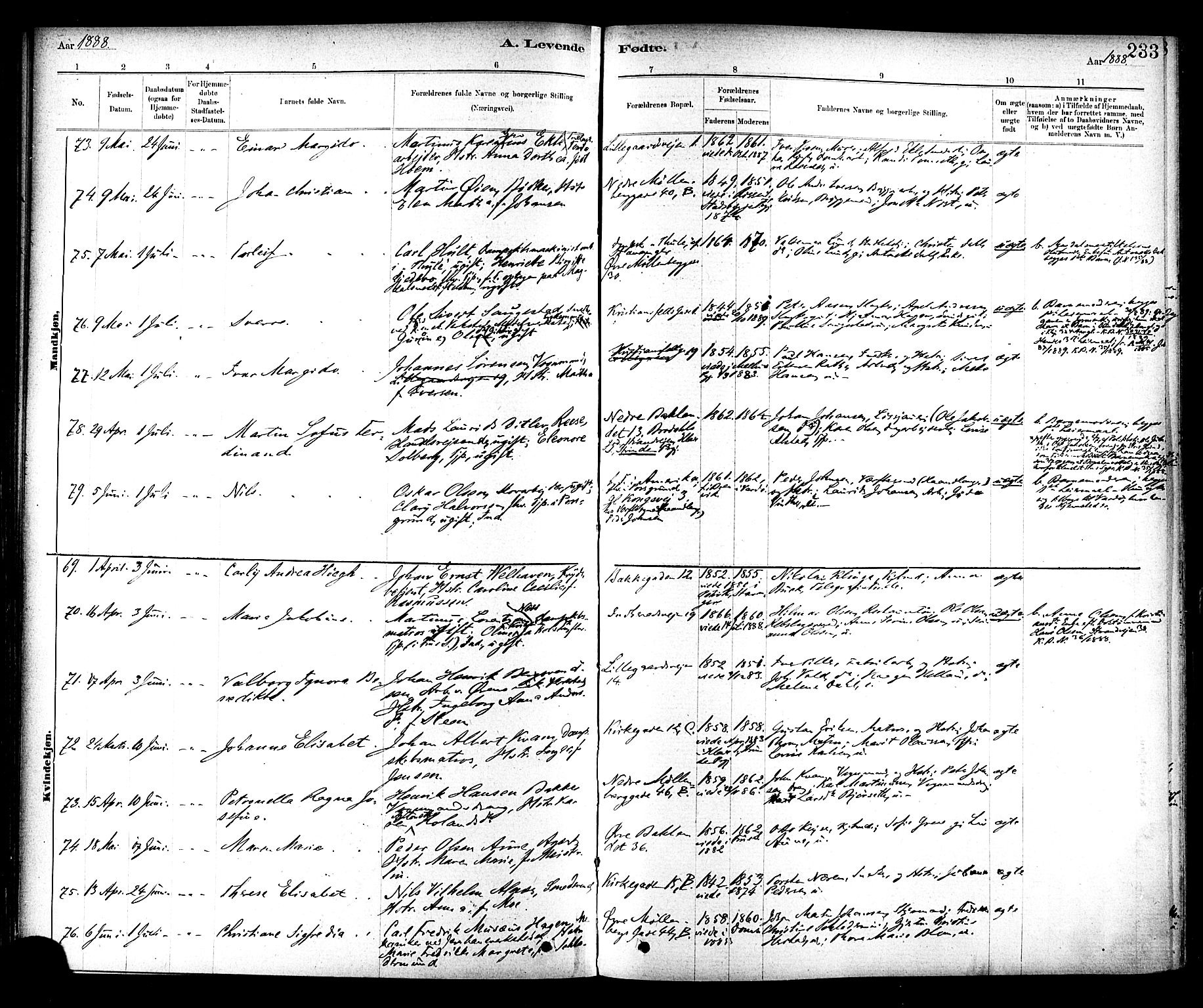 Ministerialprotokoller, klokkerbøker og fødselsregistre - Sør-Trøndelag, SAT/A-1456/604/L0188: Parish register (official) no. 604A09, 1878-1892, p. 233
