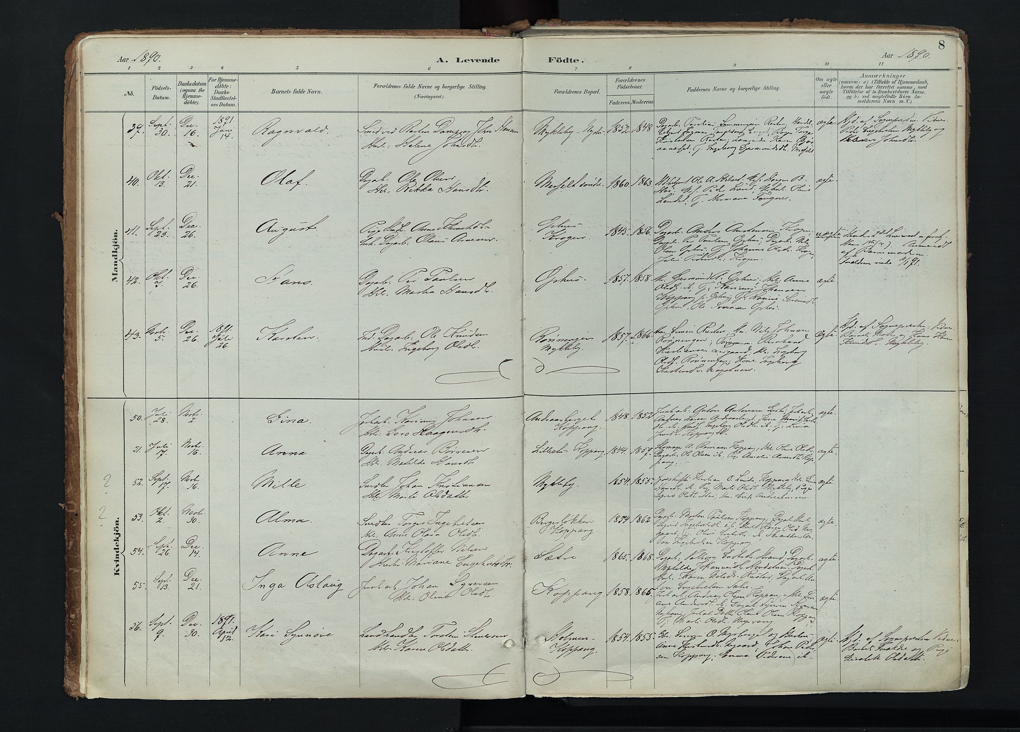 Stor-Elvdal prestekontor, AV/SAH-PREST-052/H/Ha/Haa/L0004: Parish register (official) no. 4, 1890-1922, p. 8