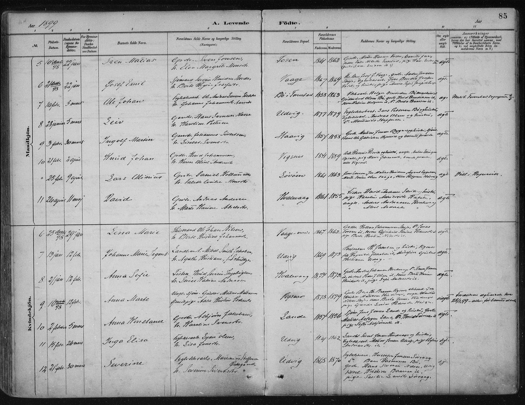 Avaldsnes sokneprestkontor, AV/SAST-A -101851/H/Ha/Haa/L0017: Parish register (official) no. A 17, 1889-1920, p. 85