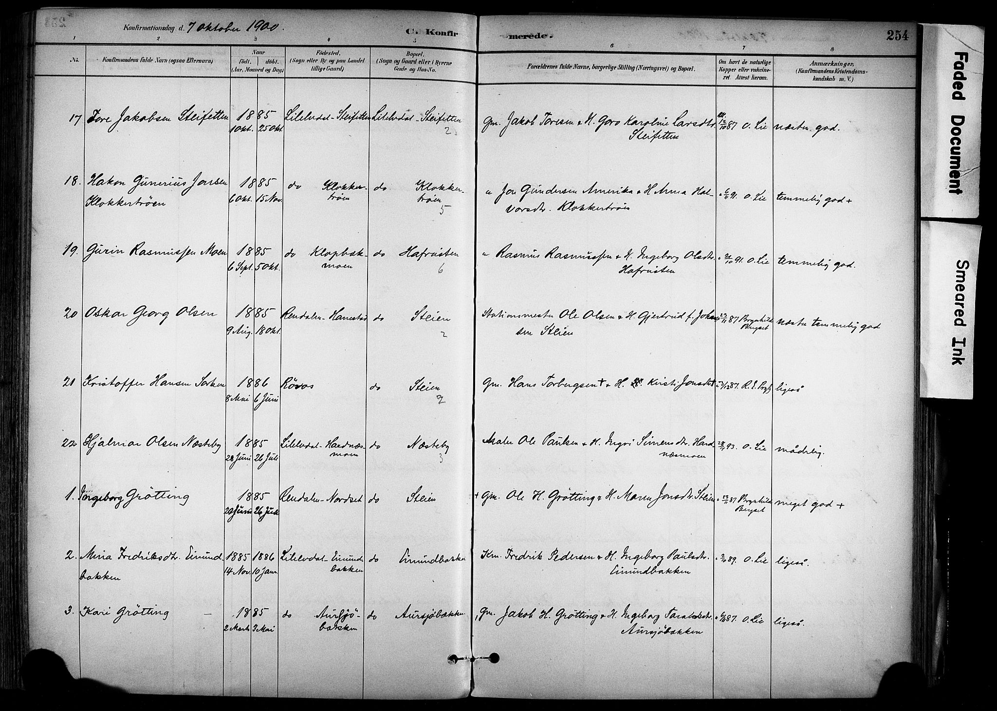 Alvdal prestekontor, AV/SAH-PREST-060/H/Ha/Haa/L0002: Parish register (official) no. 2, 1883-1906, p. 254