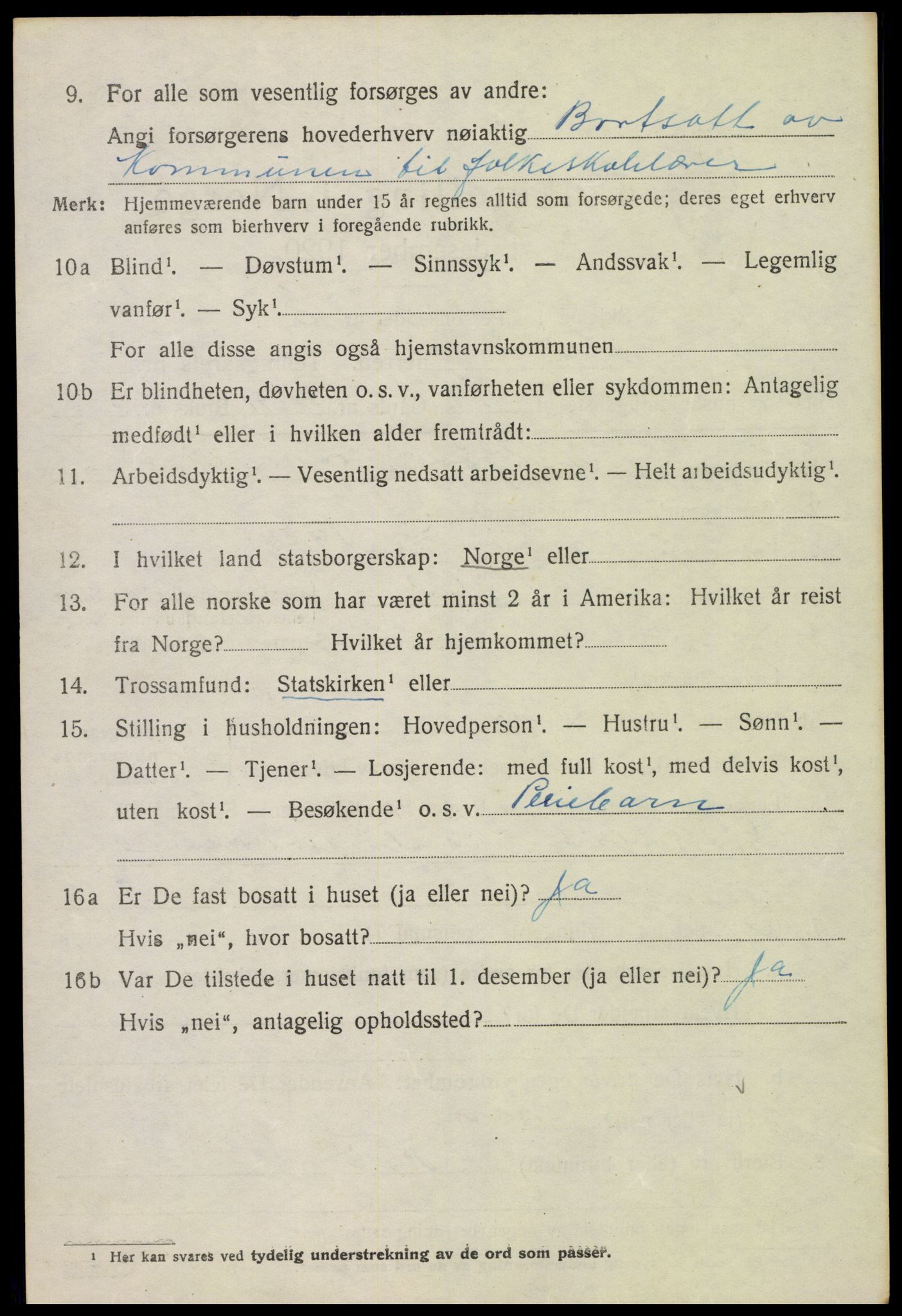 SAH, 1920 census for Nes (Hedmark), 1920, p. 4553