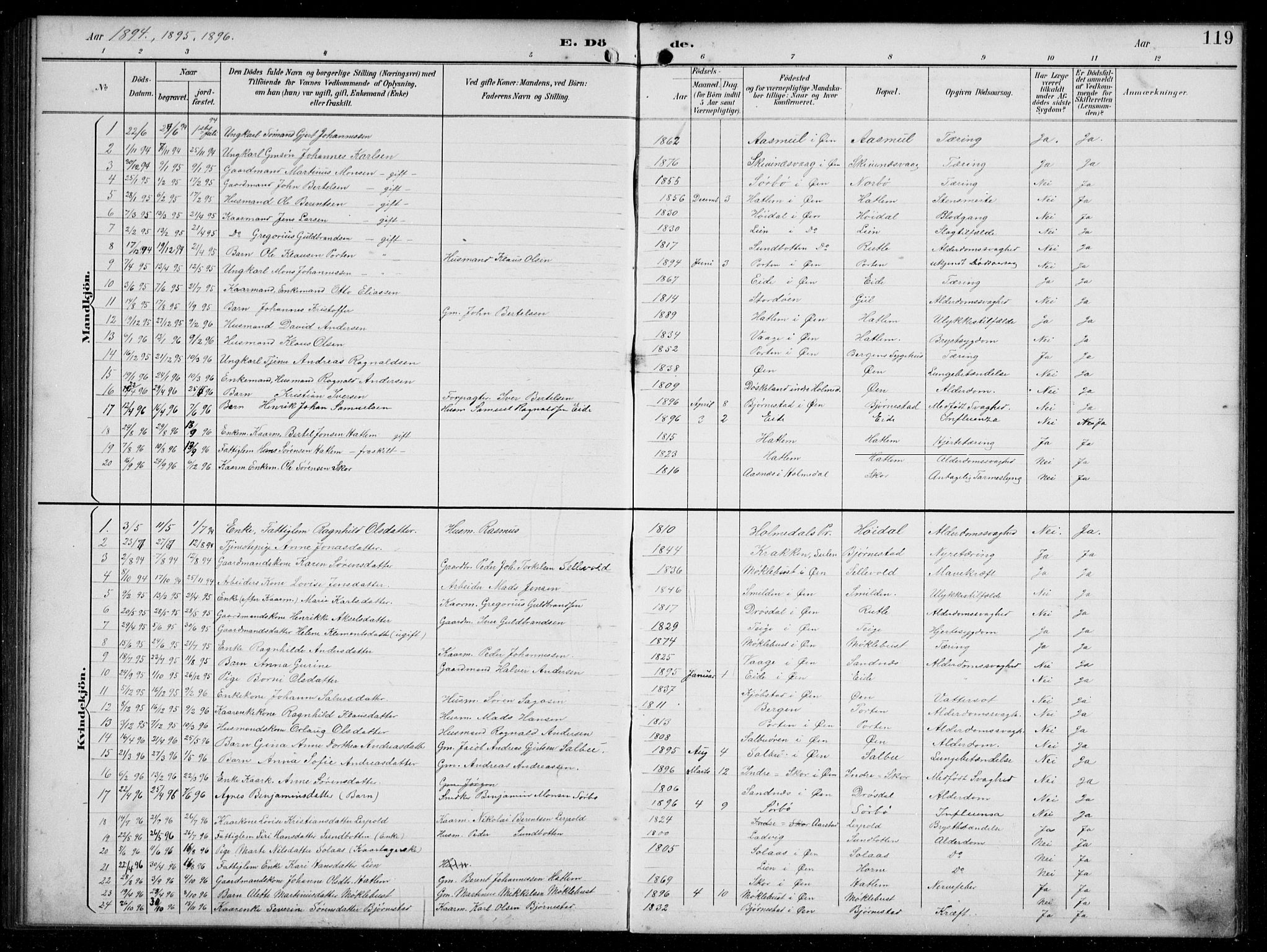 Hyllestad sokneprestembete, SAB/A-80401: Parish register (copy) no. C 3, 1894-1913, p. 119