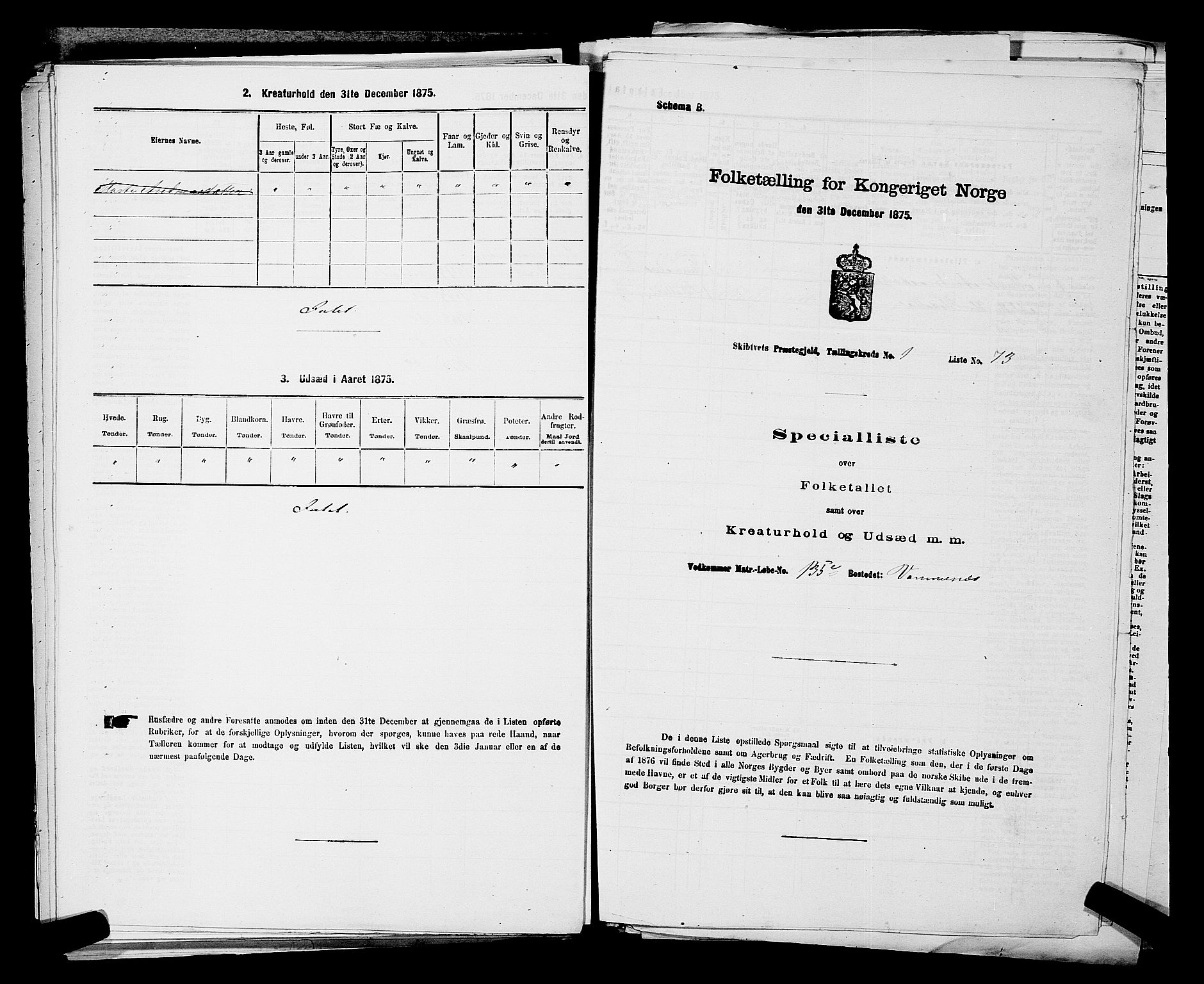 RA, 1875 census for 0127P Skiptvet, 1875, p. 202