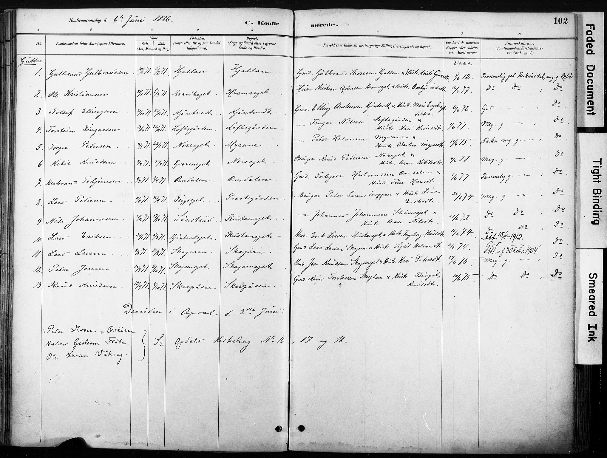 Nore kirkebøker, SAKO/A-238/F/Fb/L0002: Parish register (official) no. II 2, 1886-1906, p. 102