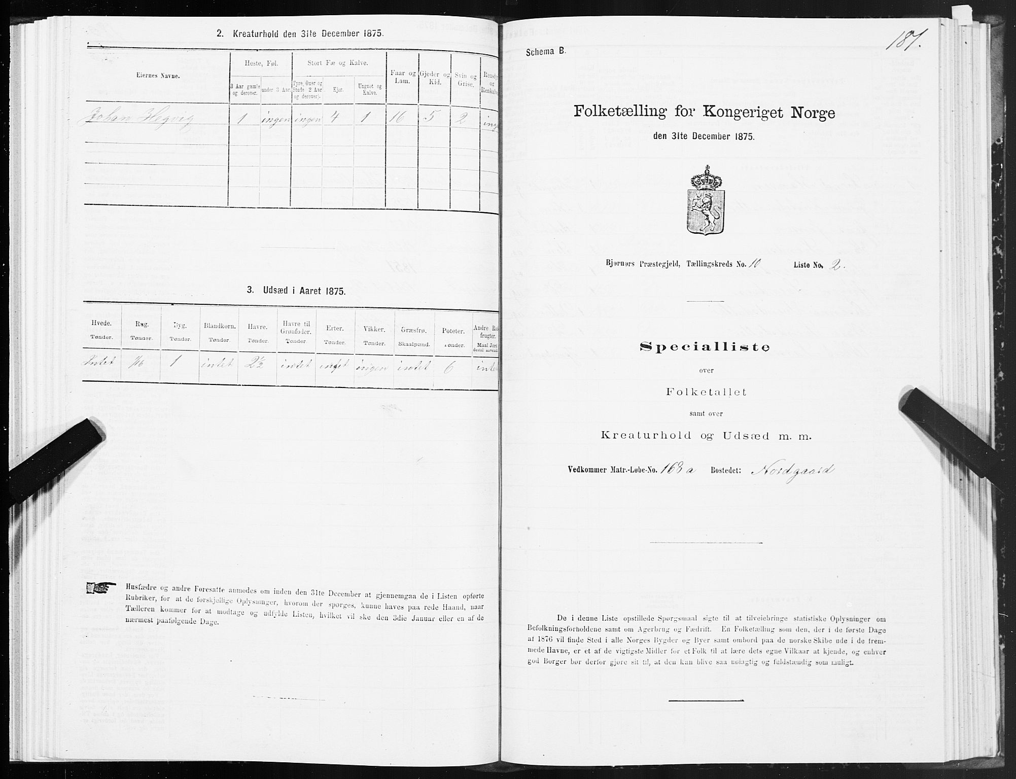 SAT, 1875 census for 1632P Bjørnør, 1875, p. 4181
