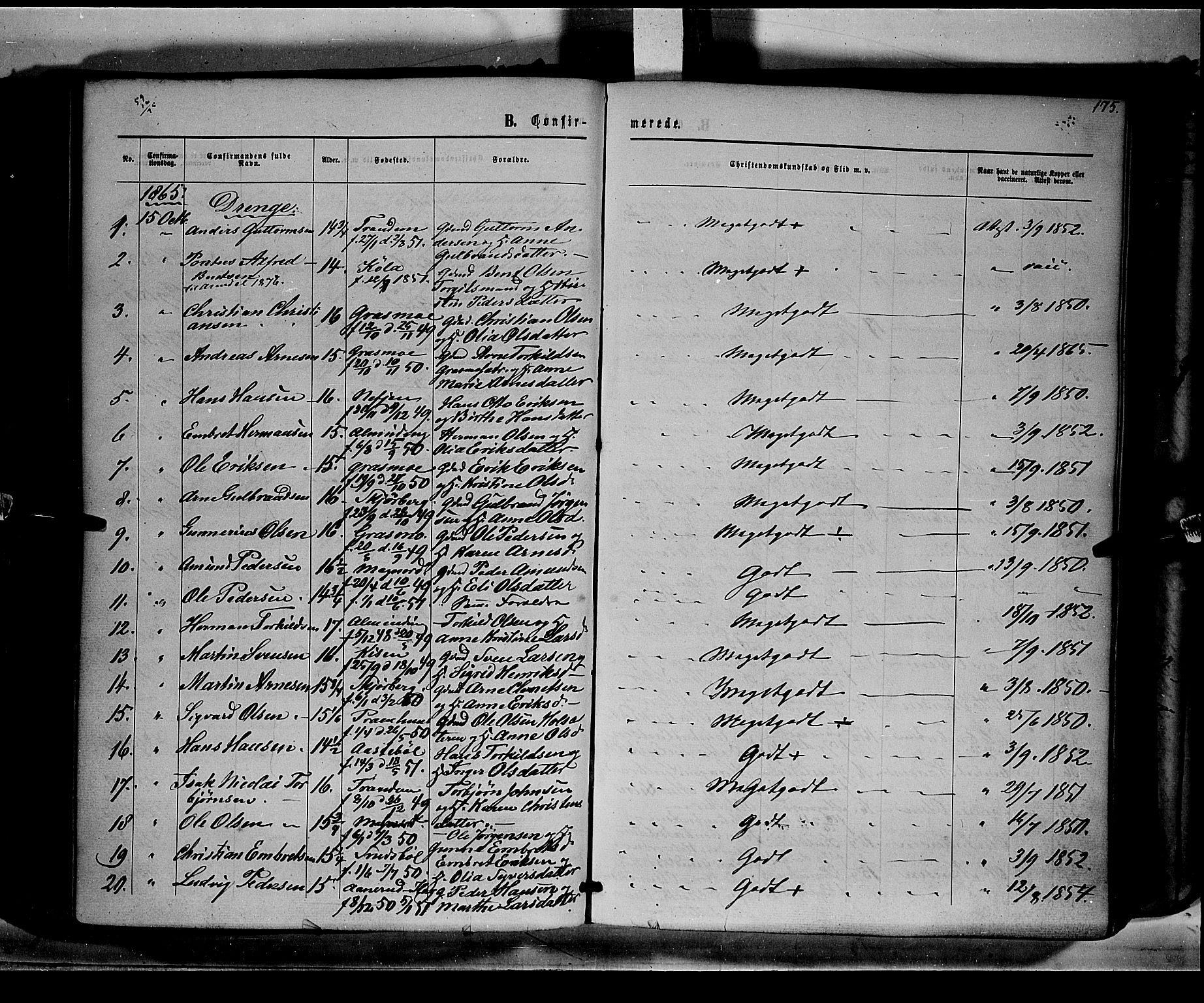 Eidskog prestekontor, AV/SAH-PREST-026/H/Ha/Haa/L0001: Parish register (official) no. 1, 1860-1867, p. 175