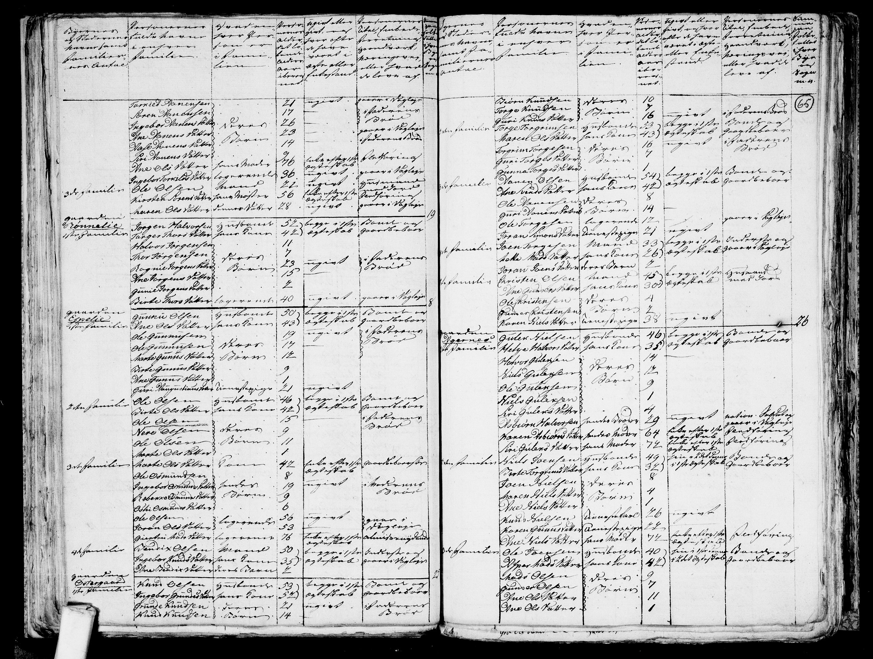 RA, 1801 census for 1024P Bjelland, 1801, p. 64b-65a