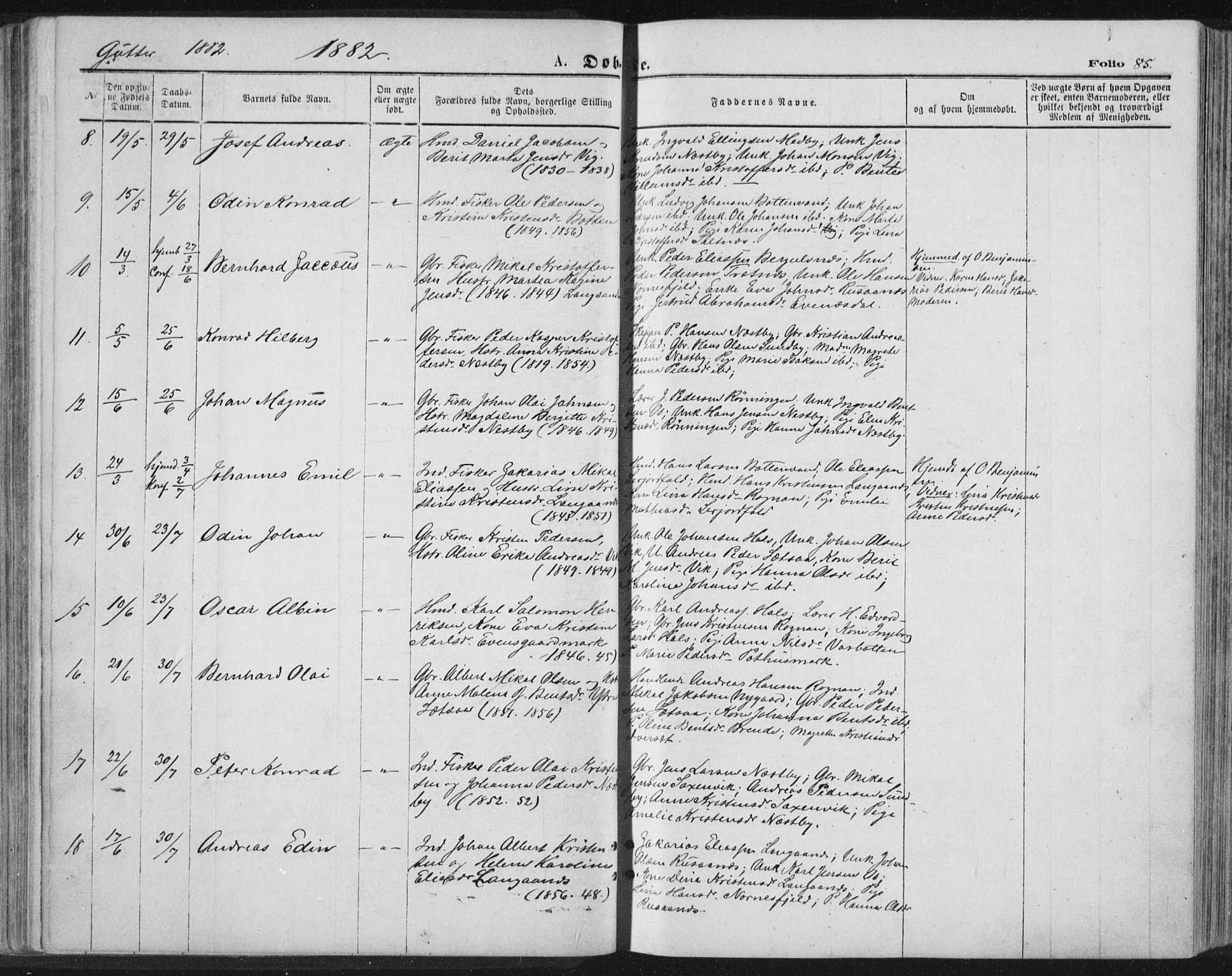 Ministerialprotokoller, klokkerbøker og fødselsregistre - Nordland, AV/SAT-A-1459/847/L0668: Parish register (official) no. 847A08, 1872-1886, p. 85