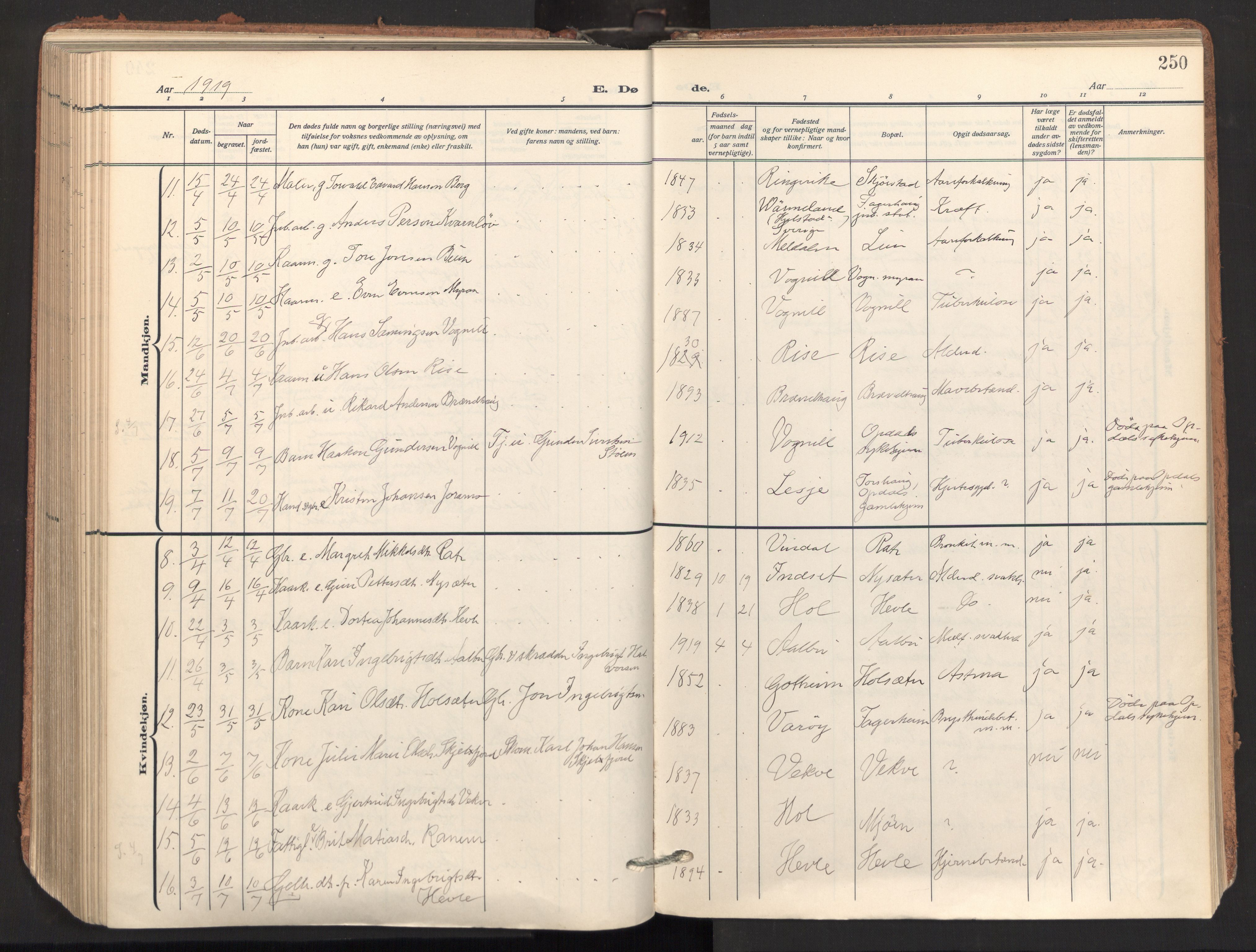 Ministerialprotokoller, klokkerbøker og fødselsregistre - Sør-Trøndelag, SAT/A-1456/678/L0909: Parish register (official) no. 678A17, 1912-1930, p. 250