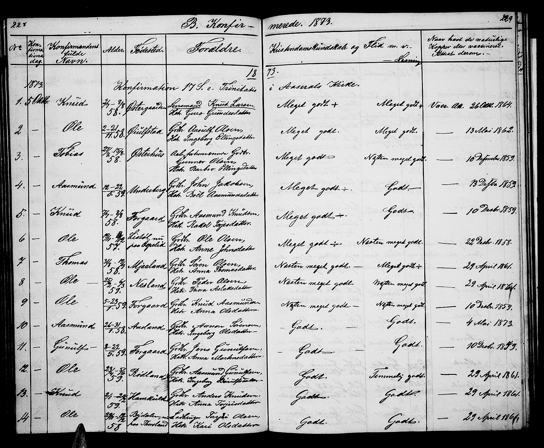 Åseral sokneprestkontor, AV/SAK-1111-0051/F/Fb/L0001: Parish register (copy) no. B 1, 1856-1877, p. 228-229