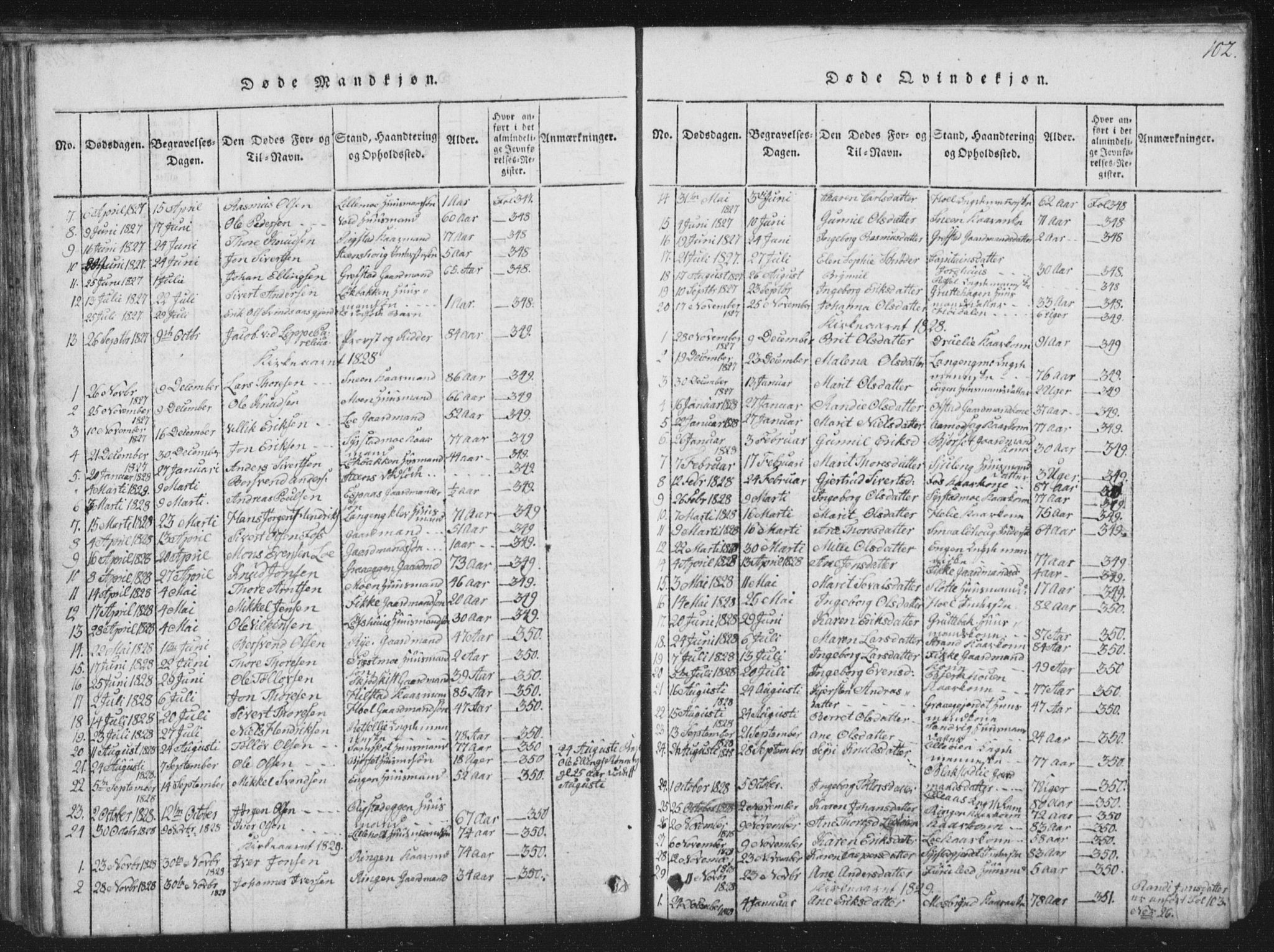 Ministerialprotokoller, klokkerbøker og fødselsregistre - Sør-Trøndelag, SAT/A-1456/672/L0862: Parish register (copy) no. 672C01, 1816-1831, p. 102