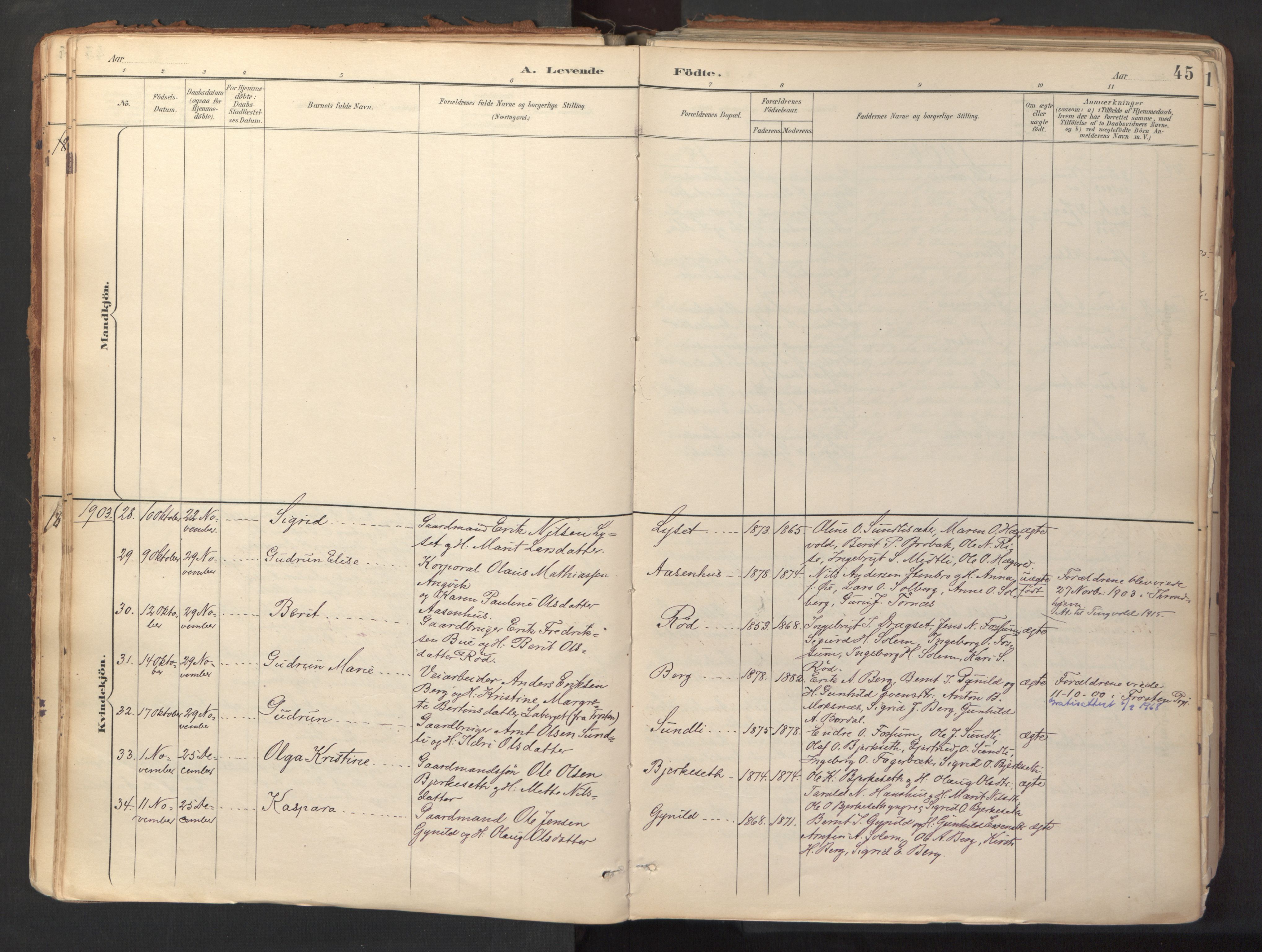 Ministerialprotokoller, klokkerbøker og fødselsregistre - Sør-Trøndelag, SAT/A-1456/689/L1041: Parish register (official) no. 689A06, 1891-1923, p. 45