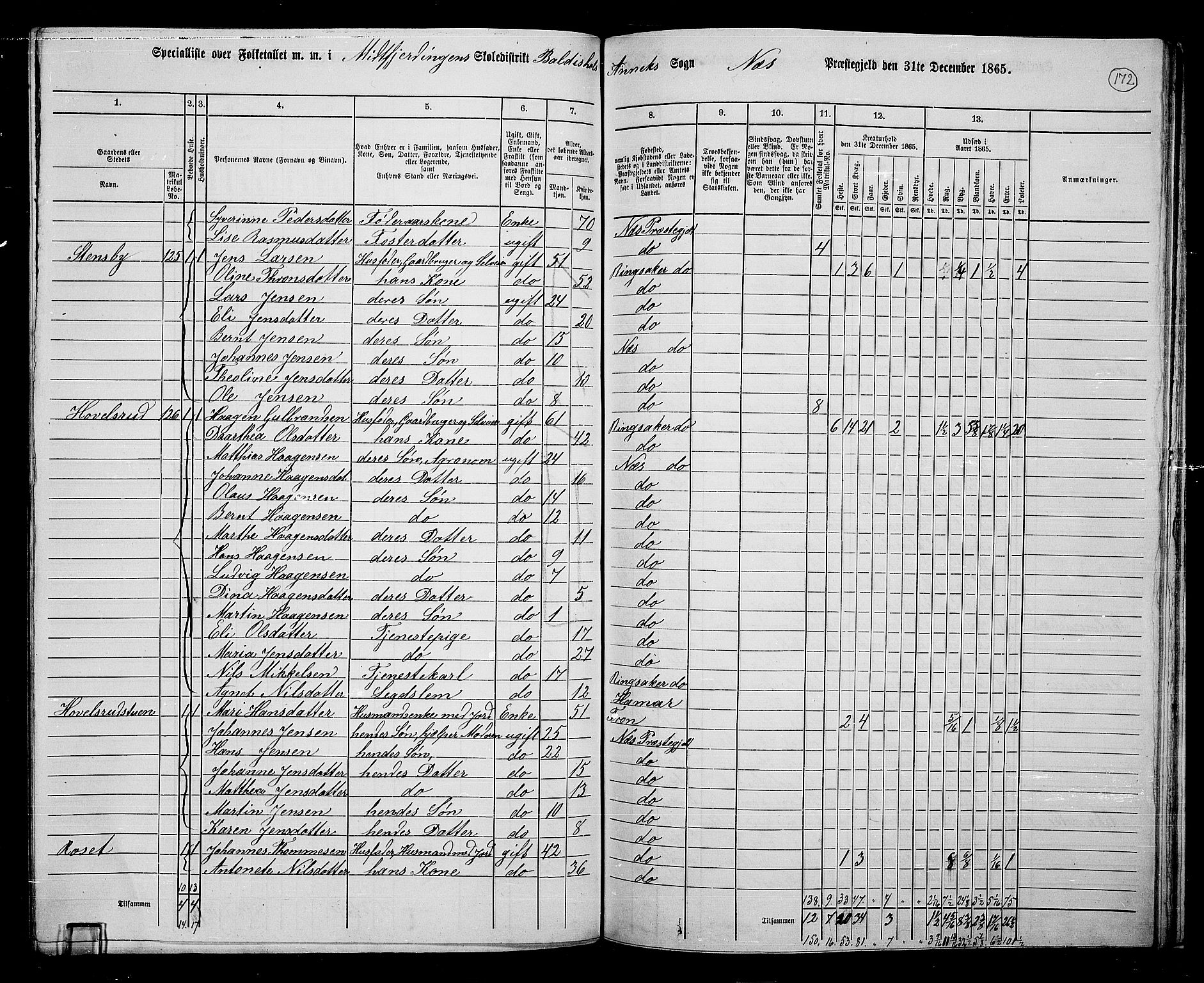 RA, 1865 census for Nes, 1865, p. 148