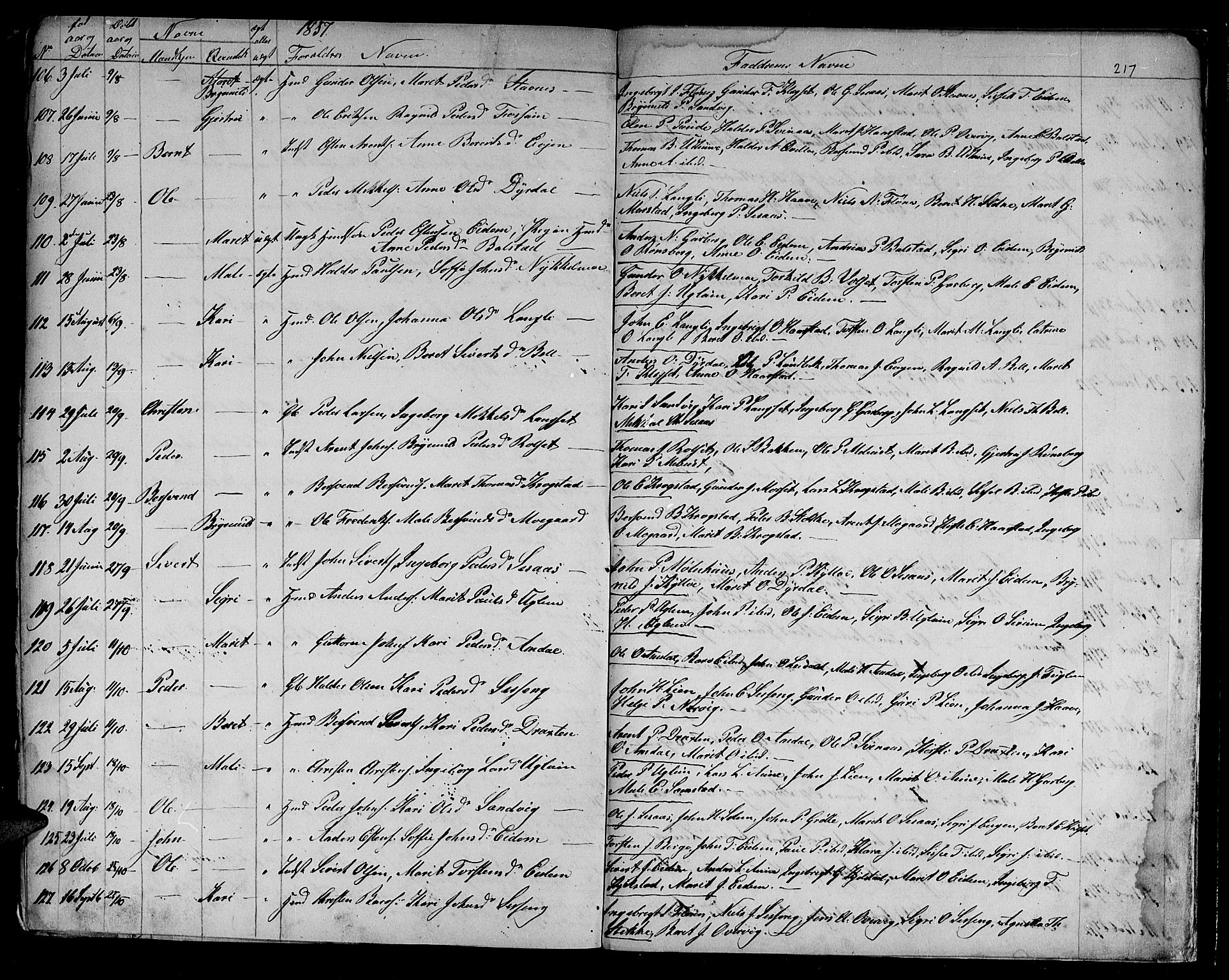 Ministerialprotokoller, klokkerbøker og fødselsregistre - Sør-Trøndelag, SAT/A-1456/695/L1154: Parish register (copy) no. 695C05, 1842-1858, p. 217