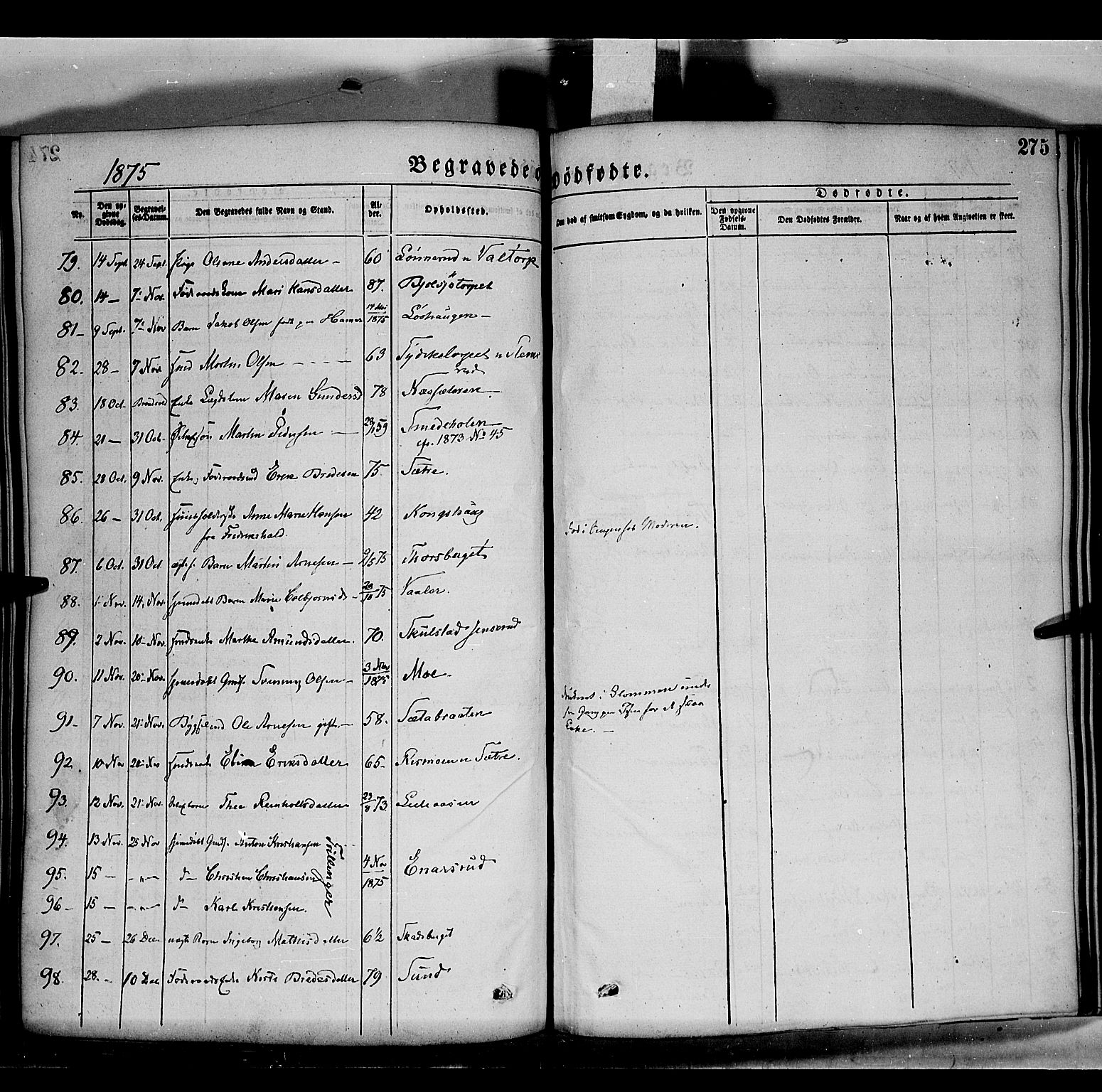 Grue prestekontor, AV/SAH-PREST-036/H/Ha/Haa/L0011: Parish register (official) no. 11, 1873-1880, p. 275