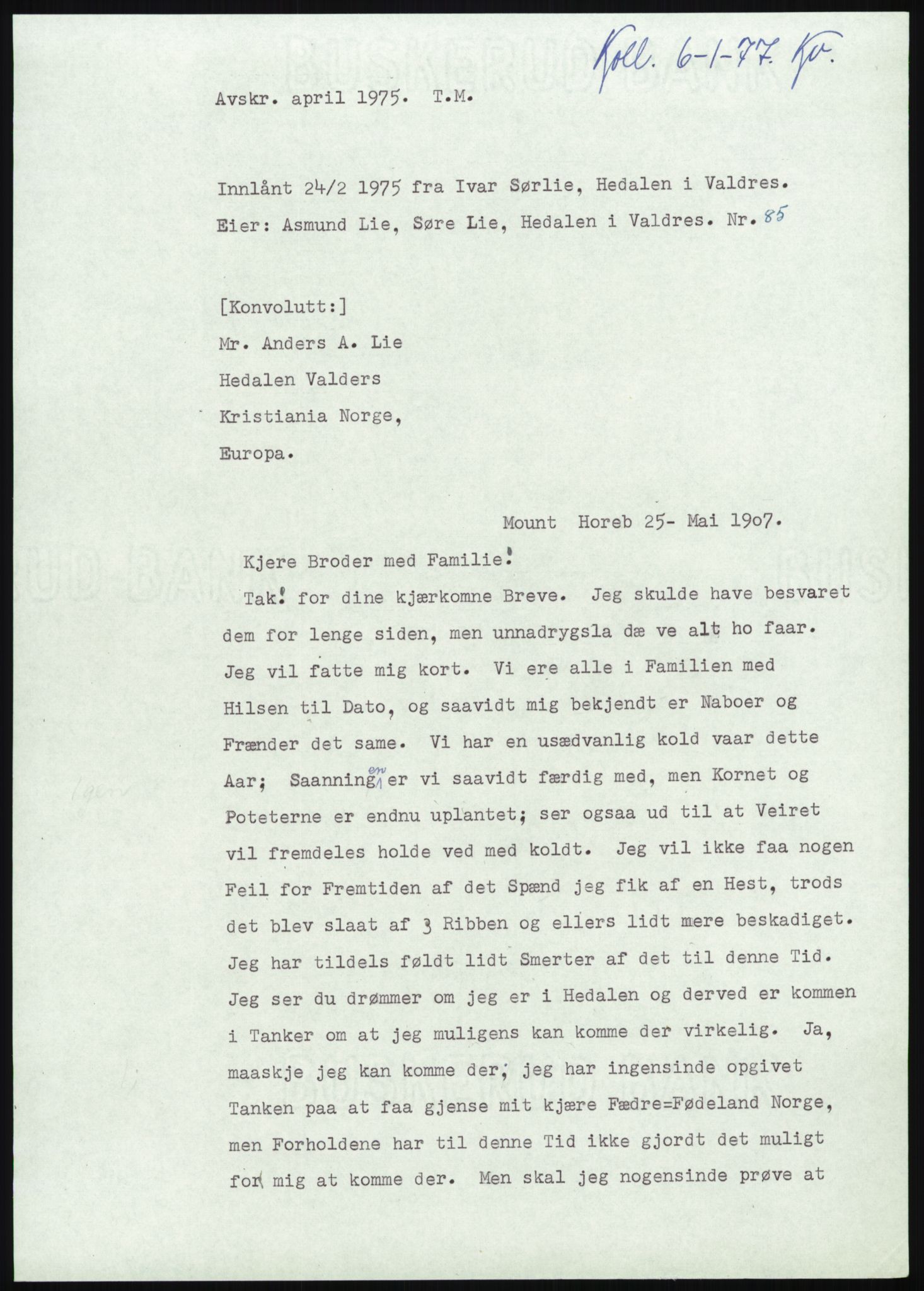 Samlinger til kildeutgivelse, Amerikabrevene, AV/RA-EA-4057/F/L0013: Innlån fra Oppland: Lie (brevnr 79-115) - Nordrum, 1838-1914, p. 85