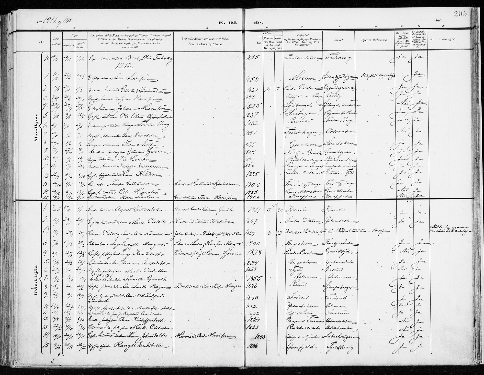 Nord-Odal prestekontor, SAH/PREST-032/H/Ha/Haa/L0009: Parish register (official) no. 9, 1902-1926, p. 205