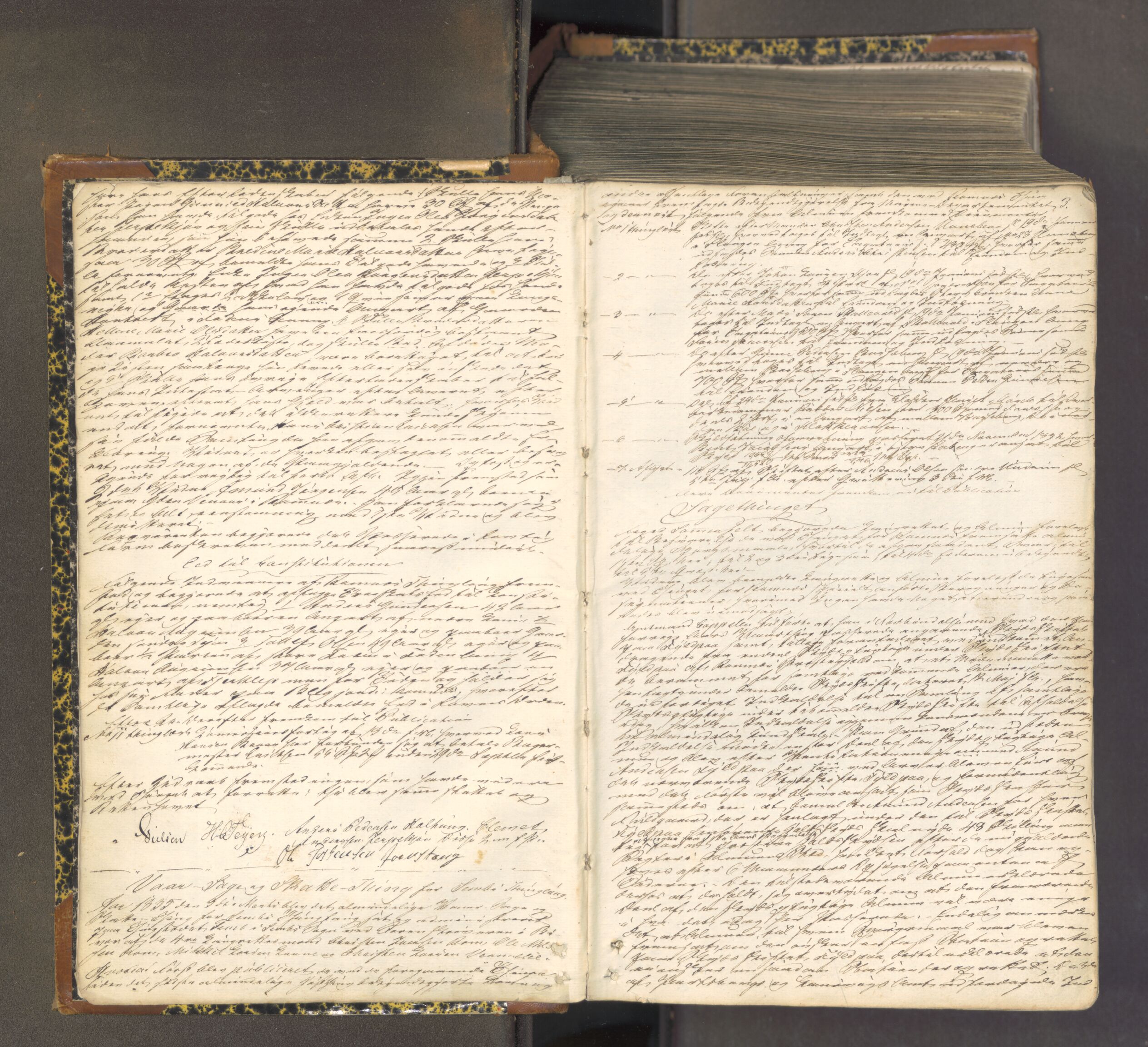 Søndre Jarlsberg sorenskriveri, AV/SAKO-A-129/F/Fa/L0032: Tingbok, 1835-1837, p. 2b-3a