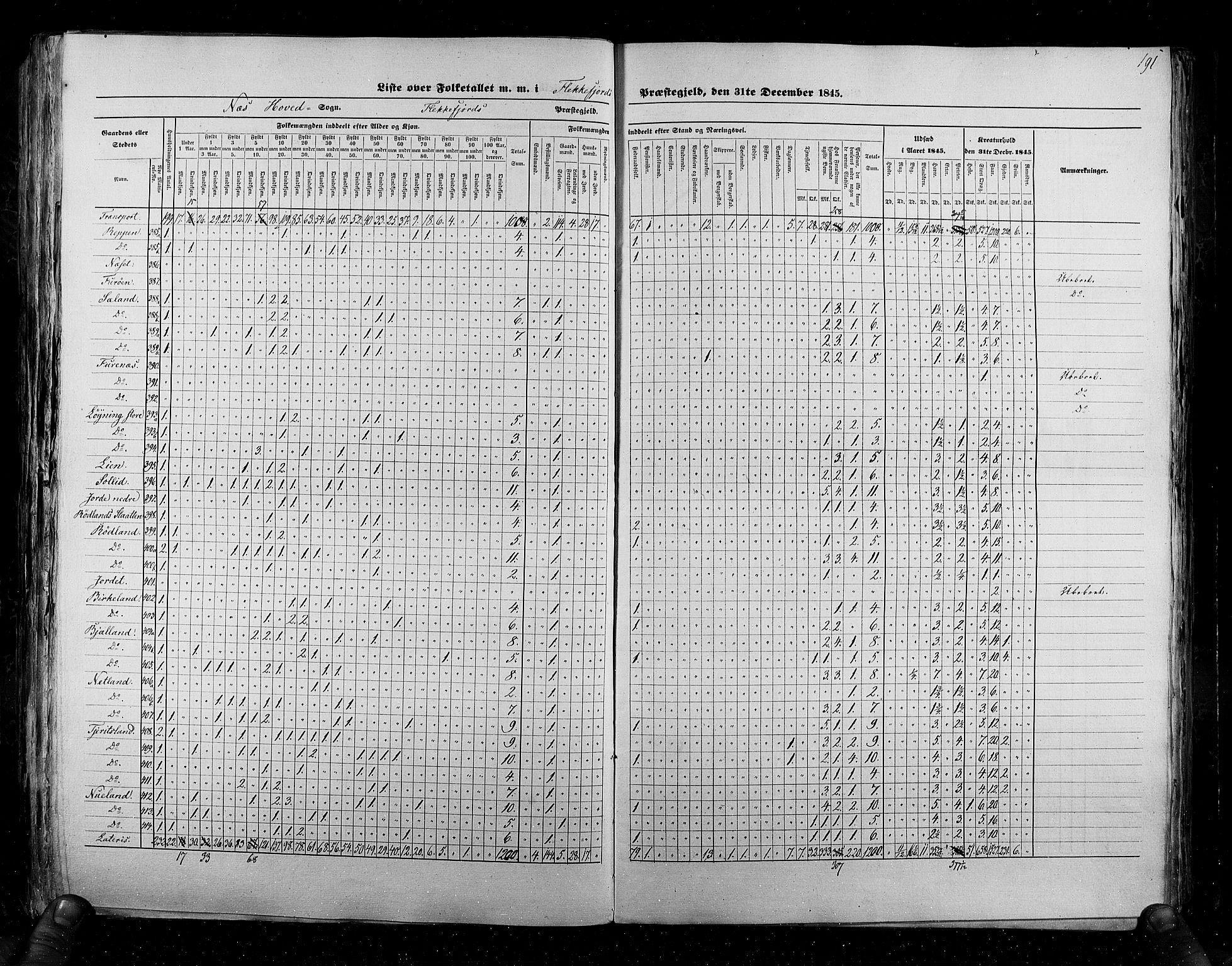 RA, Census 1845, vol. 6: Lister og Mandal amt og Stavanger amt, 1845, p. 191