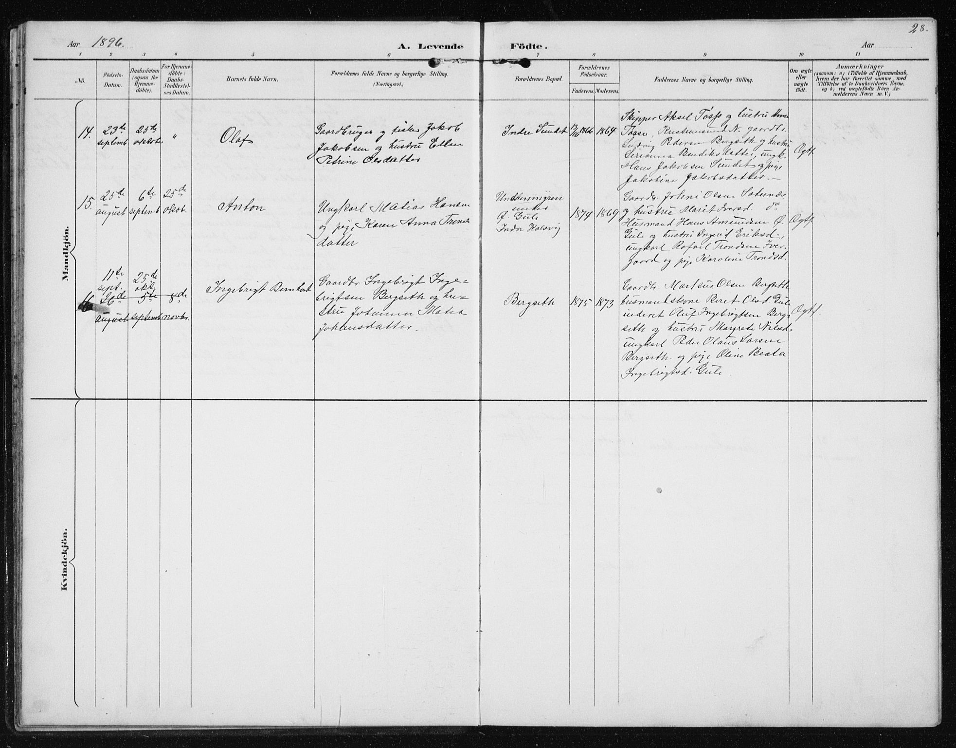 Ministerialprotokoller, klokkerbøker og fødselsregistre - Møre og Romsdal, AV/SAT-A-1454/566/L0773: Parish register (copy) no. 566C02, 1892-1909, p. 28