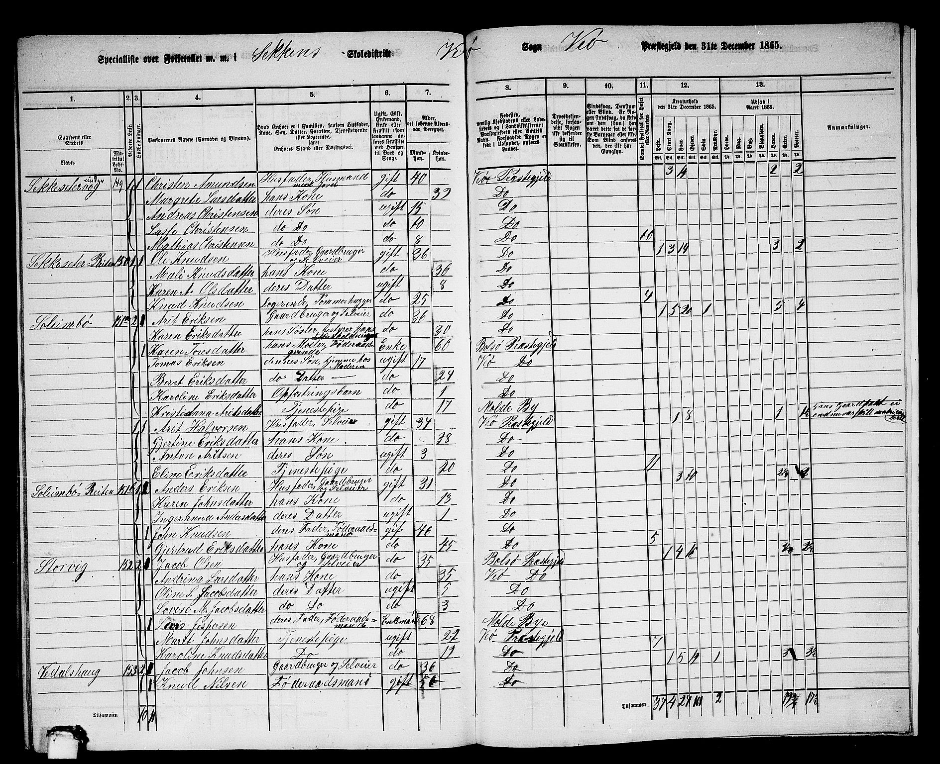 RA, 1865 census for Veøy, 1865, p. 95