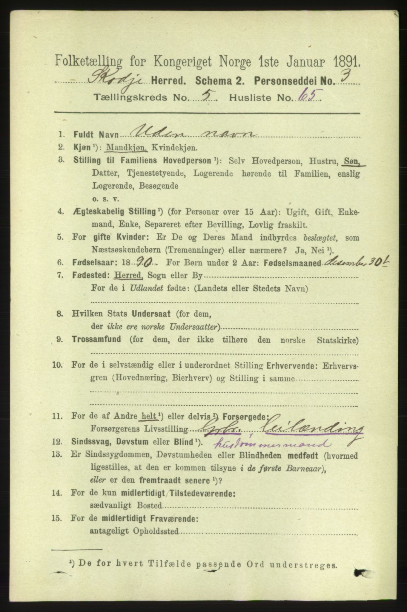 RA, 1891 census for 1529 Skodje, 1891, p. 1221