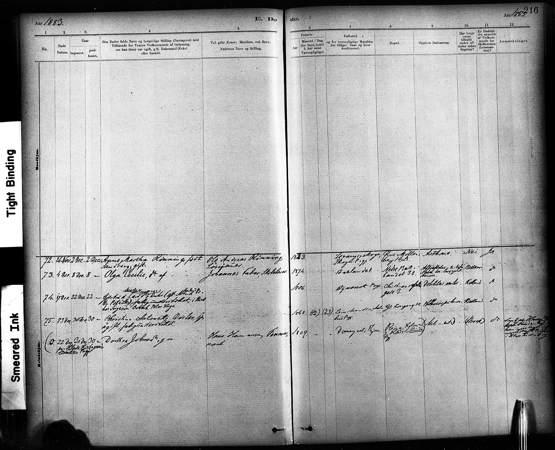 Ministerialprotokoller, klokkerbøker og fødselsregistre - Sør-Trøndelag, AV/SAT-A-1456/604/L0189: Parish register (official) no. 604A10, 1878-1892, p. 216