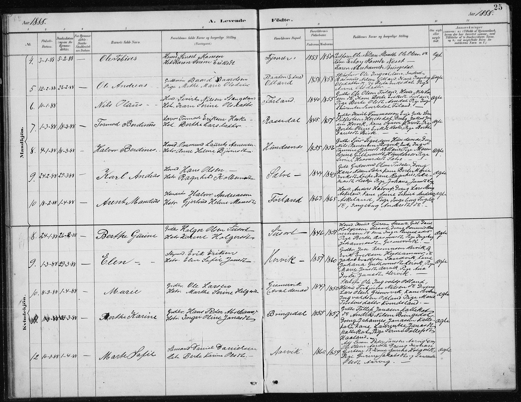 Tysvær sokneprestkontor, AV/SAST-A -101864/H/Ha/Hab/L0004: Parish register (copy) no. B 4, 1883-1896, p. 25