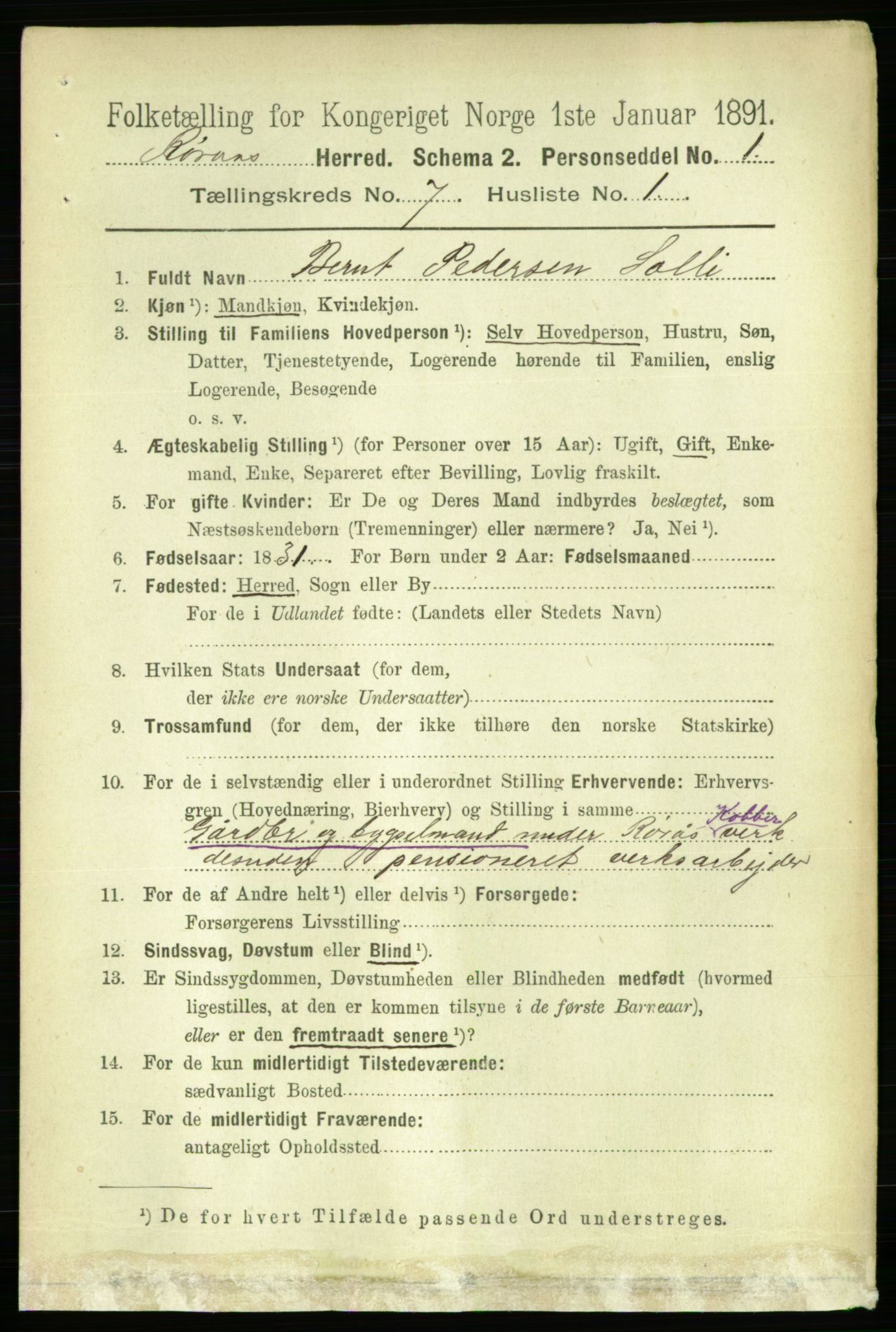 RA, 1891 census for 1640 Røros, 1891, p. 1374