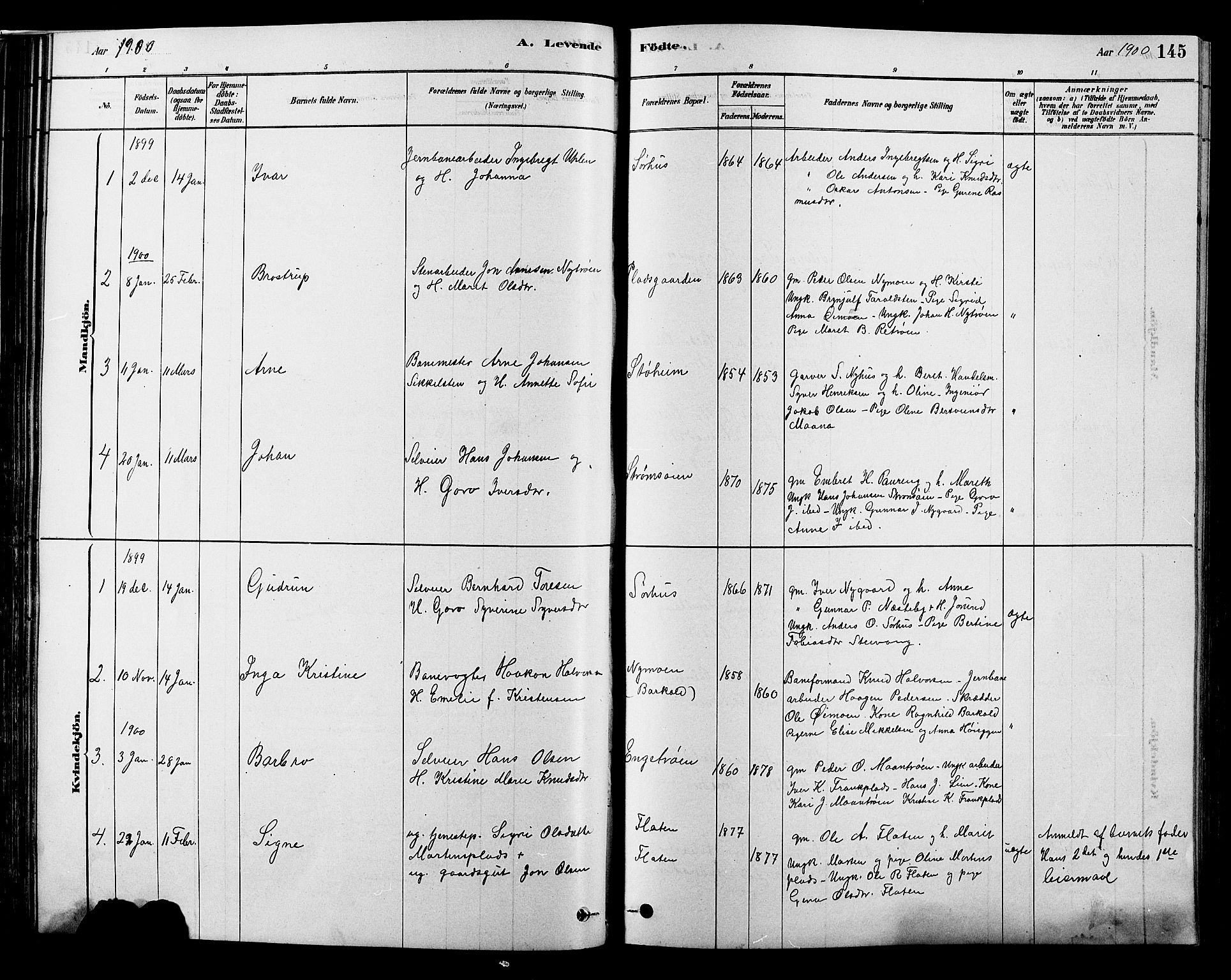 Alvdal prestekontor, SAH/PREST-060/H/Ha/Hab/L0003: Parish register (copy) no. 3, 1878-1907, p. 145