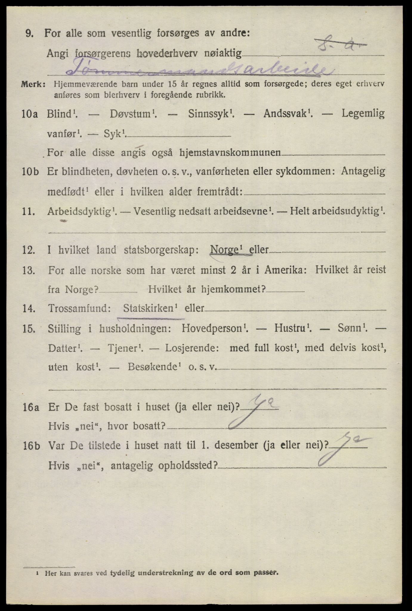 SAKO, 1920 census for Nes (Buskerud), 1920, p. 5923