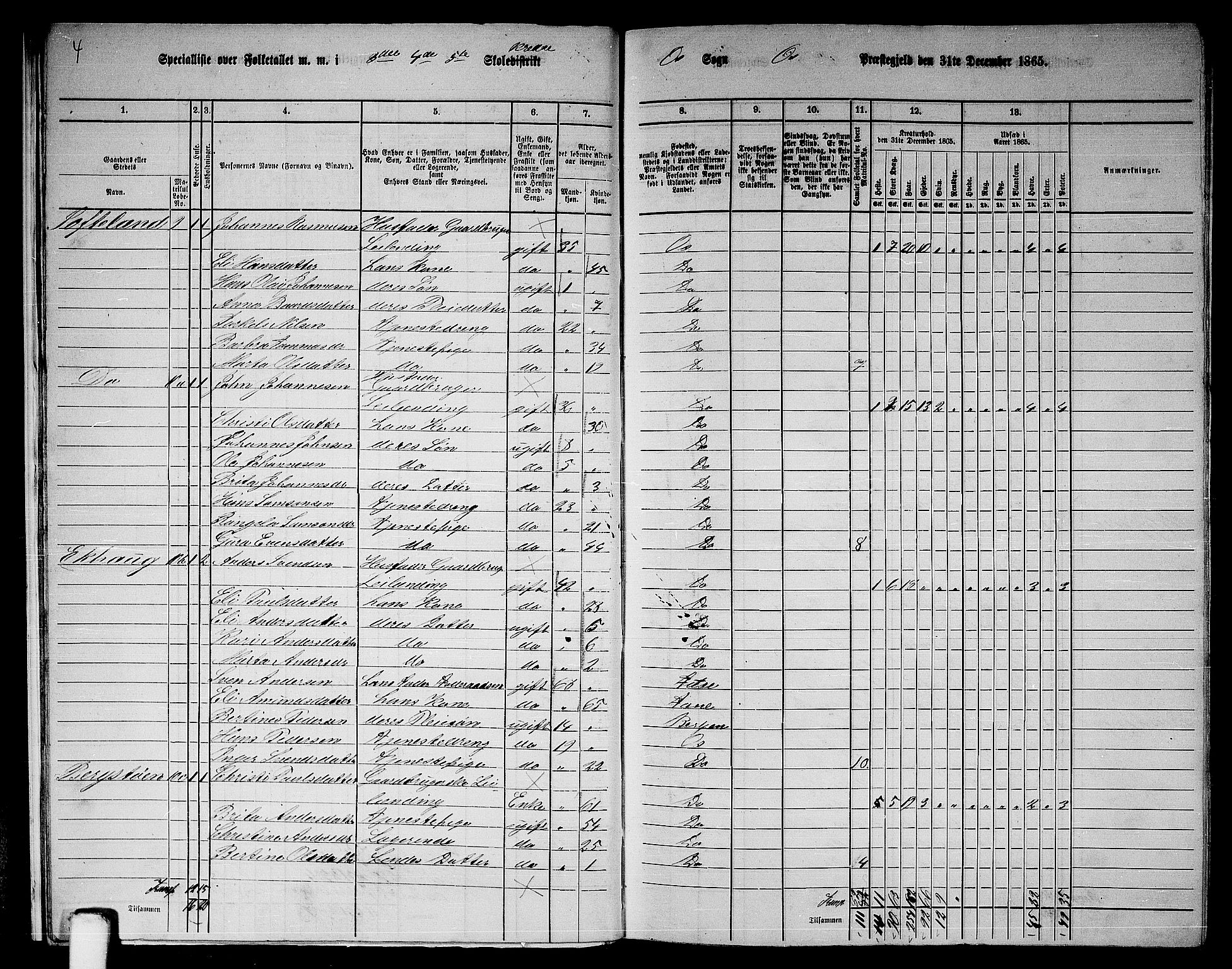 RA, 1865 census for Os, 1865, p. 15